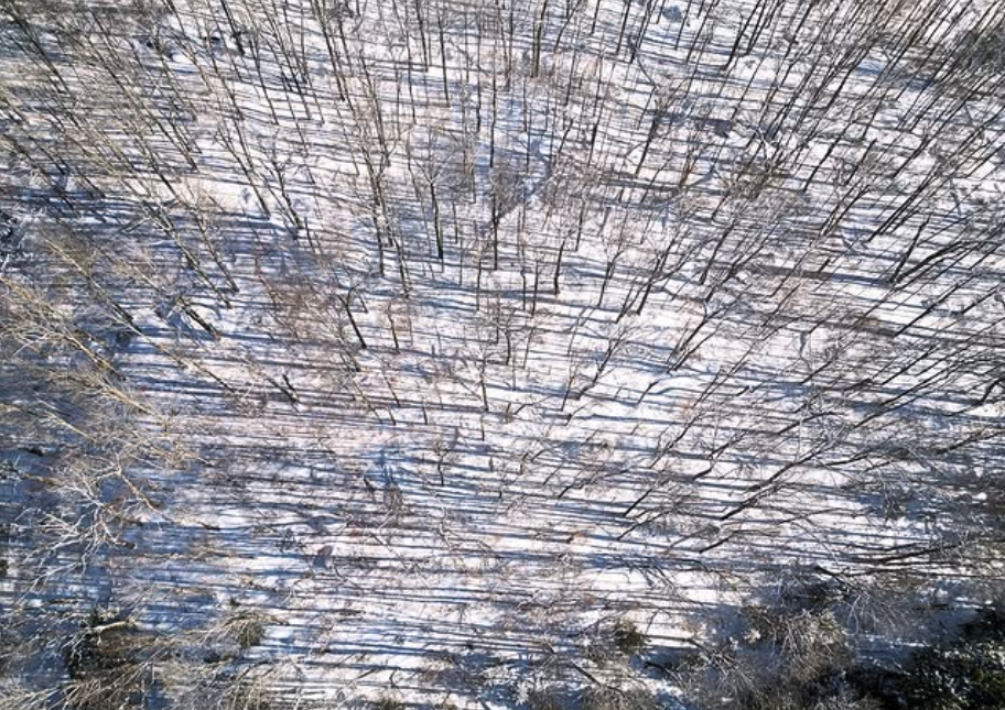 Screenshot 2026-01-23 at 9.30.39 PM.png