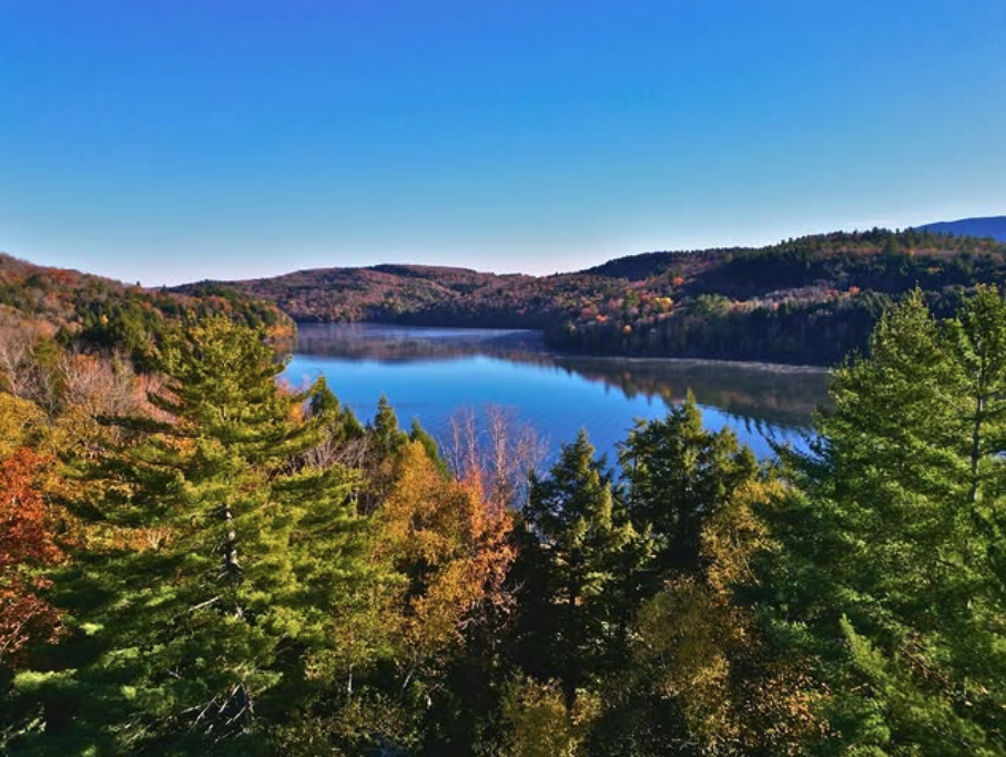 Screenshot 2026-01-23 at 9.29.48 PM.png