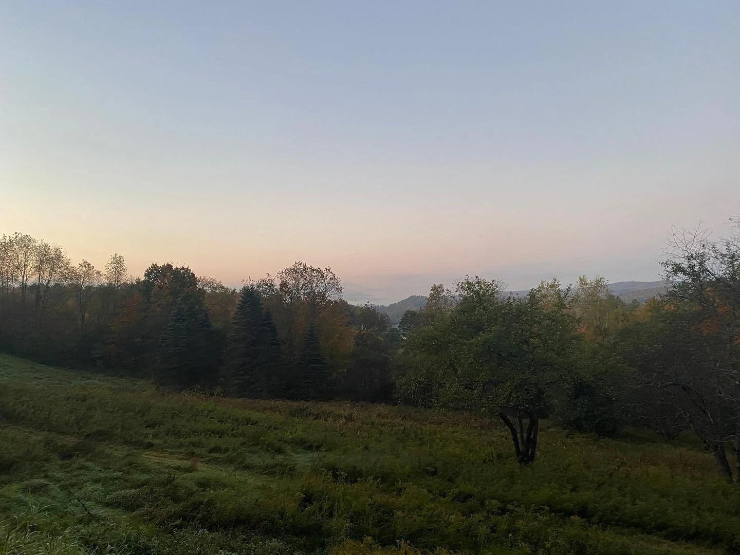 It&rsquo;s hard to capture these beautiful moody fall scenes around the neighborhood, but I sure do love what fall brings 🎃🍁