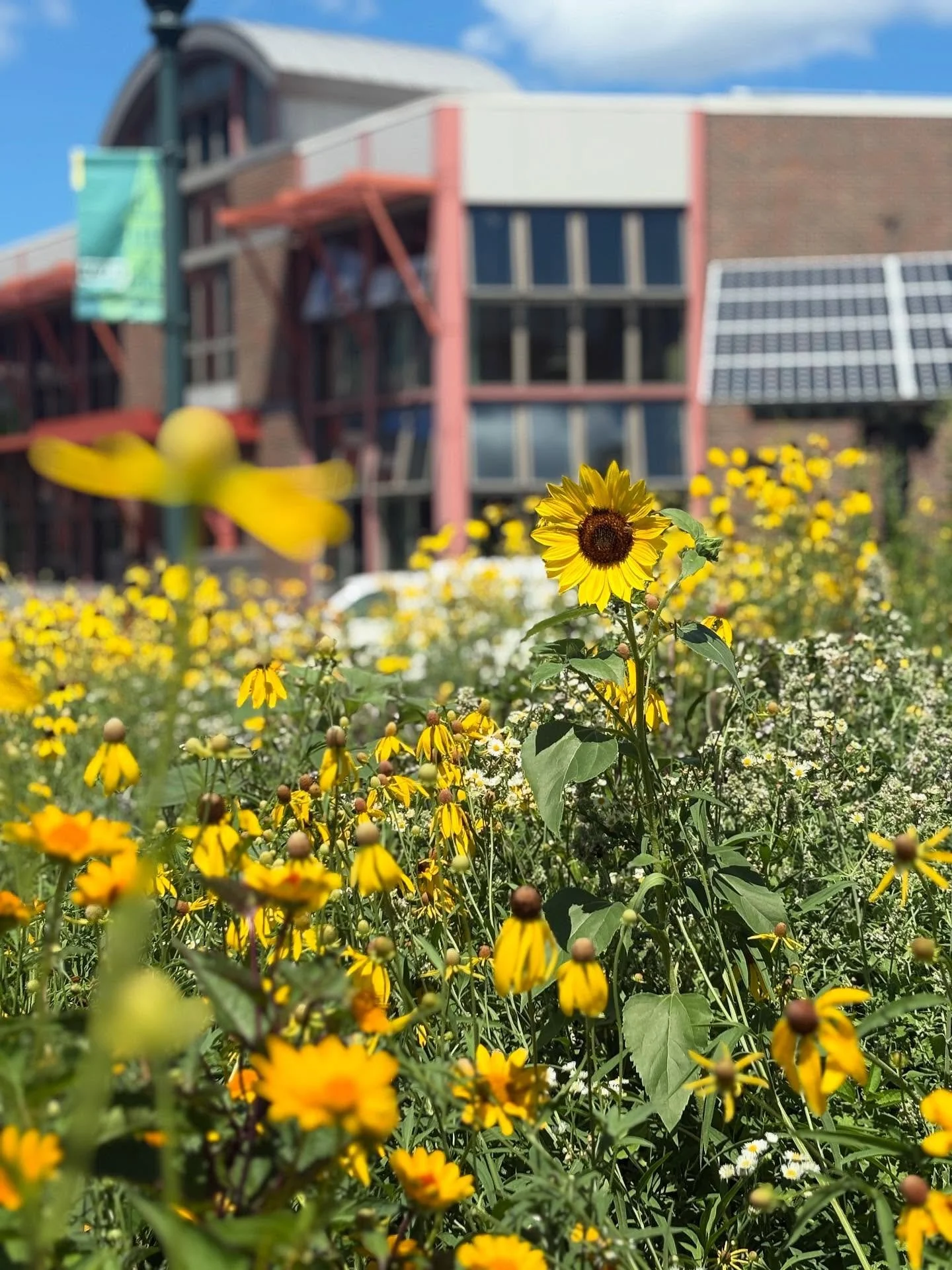 There&rsquo;s a quiet poetry in how nature and infrastructure coexist.