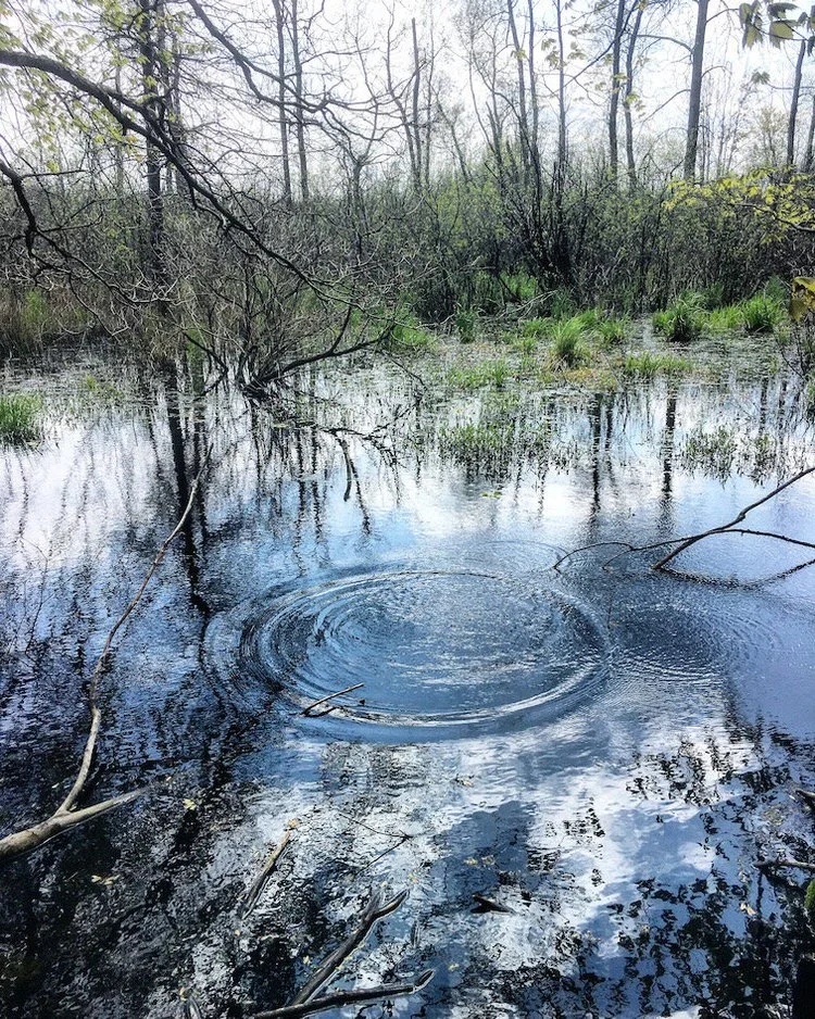 Michigan+Drop+Lo+Res.jpeg