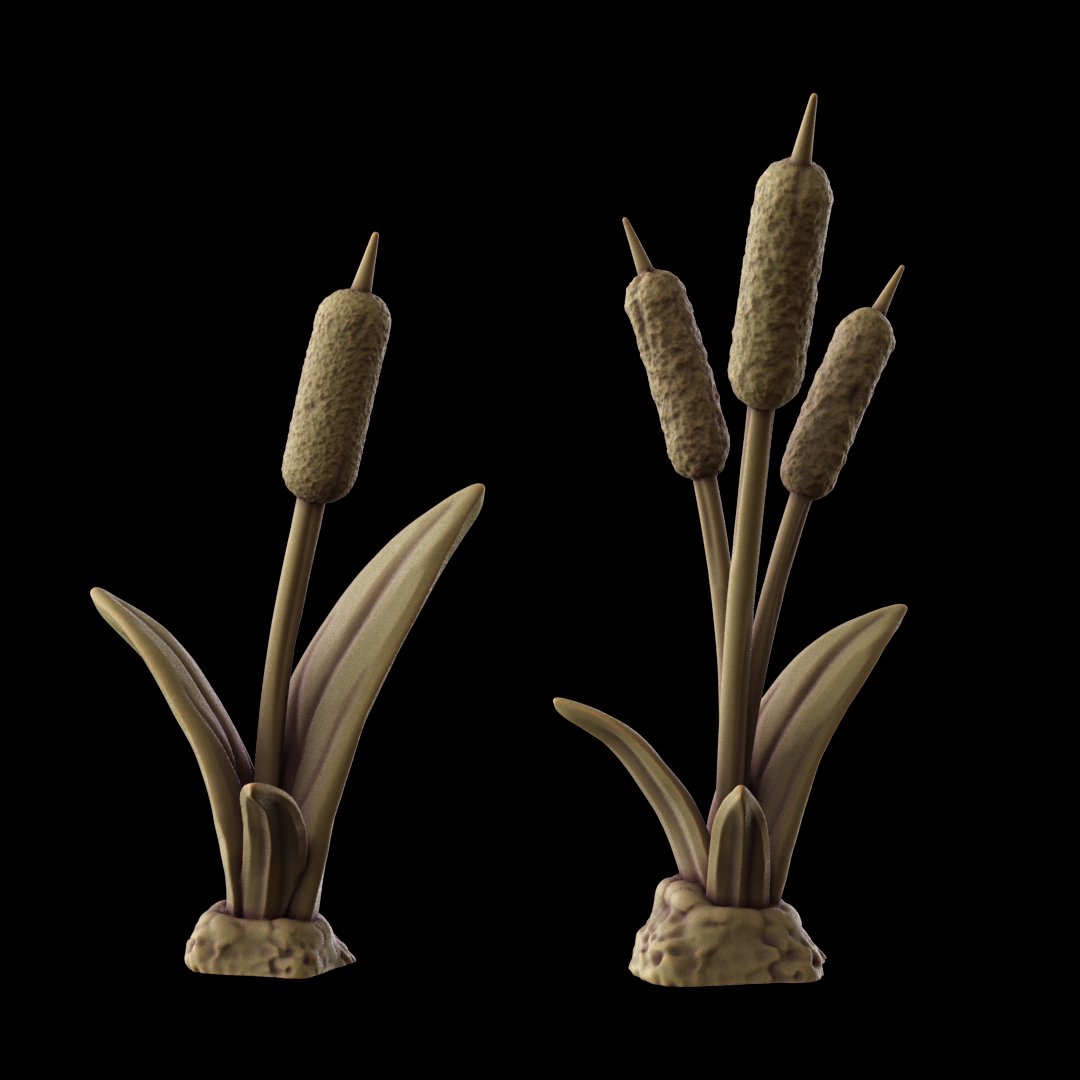 reeds.jpg