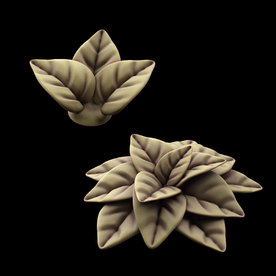 groundcover.jpg
