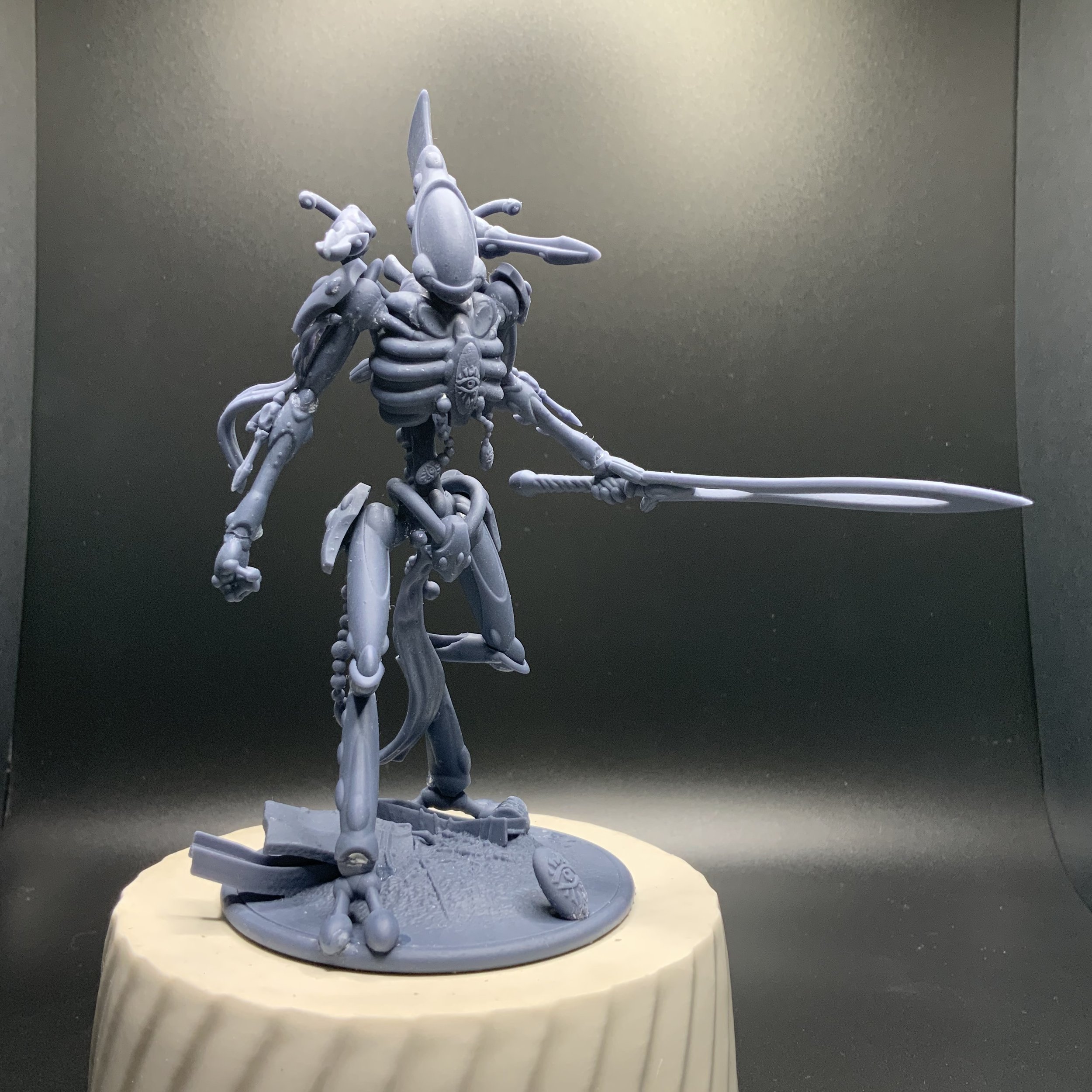Void Elves: Undying Lord
