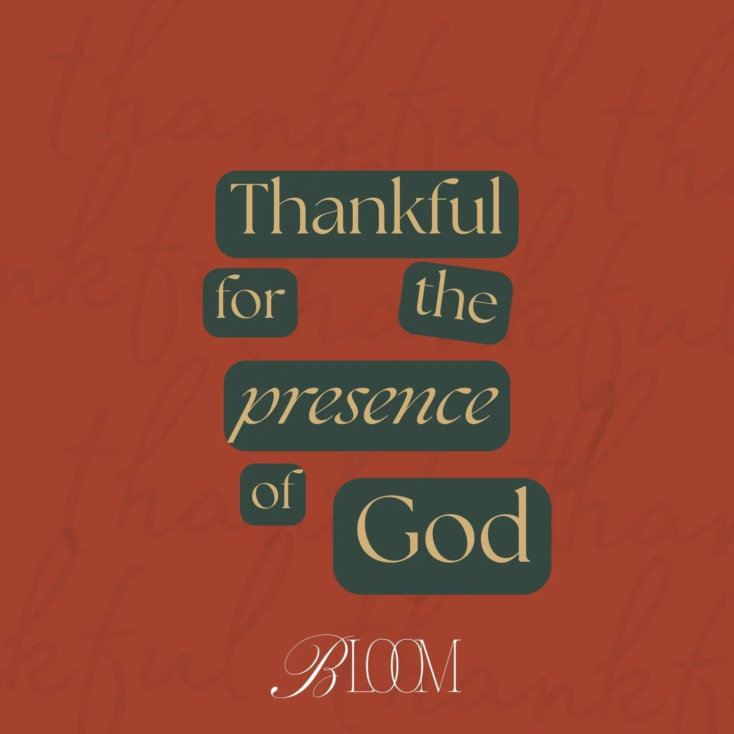 Today, and everyday, grateful that God never leaves us nor forsakes us. 

#bloom
#bloomdallas
#womensministry
#womensministrydallas
#verseoftheday
#votd
#fyp