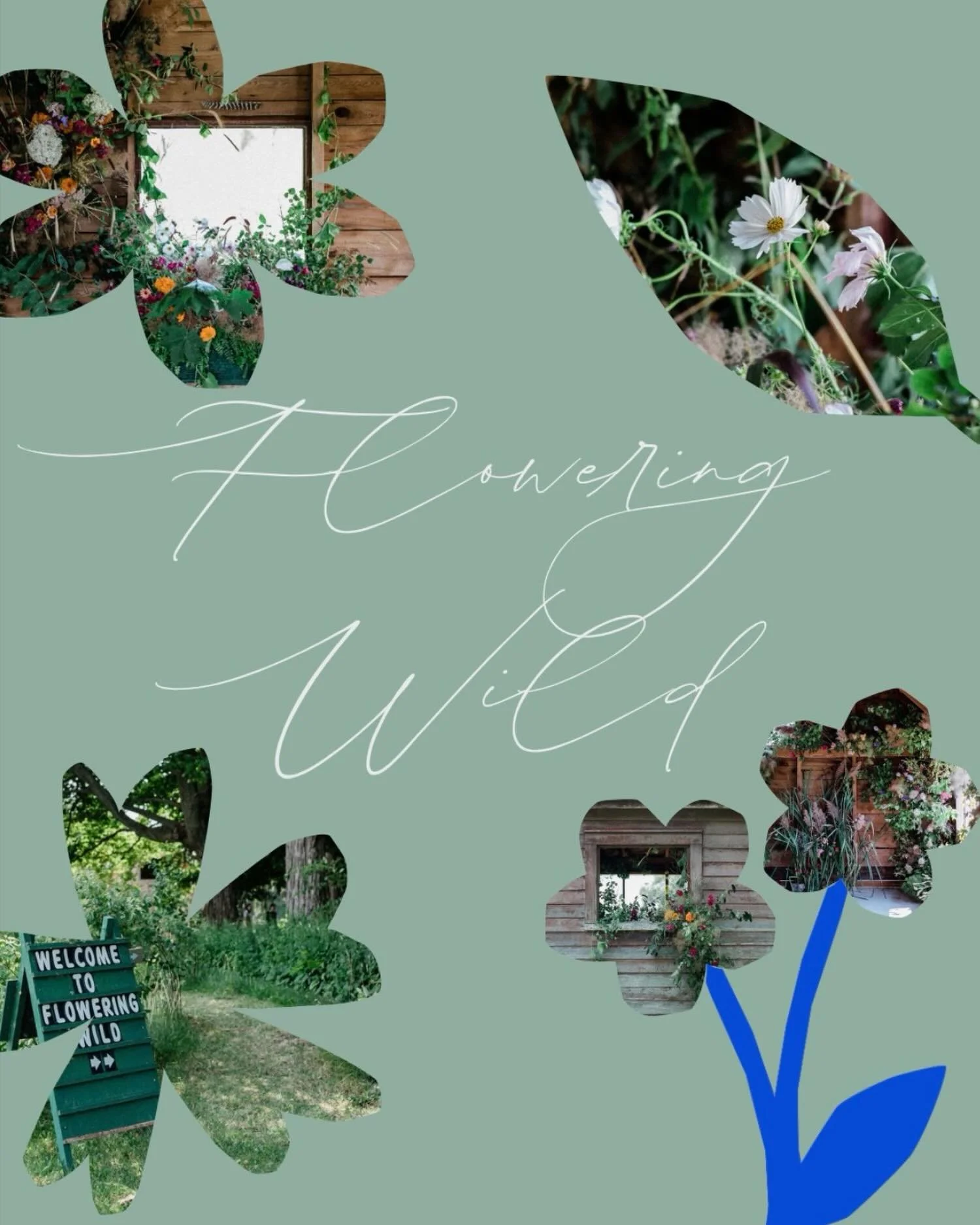 🌻Hey Flower Lovers - Flowering Wild tickets drop today! Quantities are limited, so check the link in our bio to snag yours before they&rsquo;re gone.

On Sunday, July 19, Flowering Wild presents its latest site-specific installation at a private her