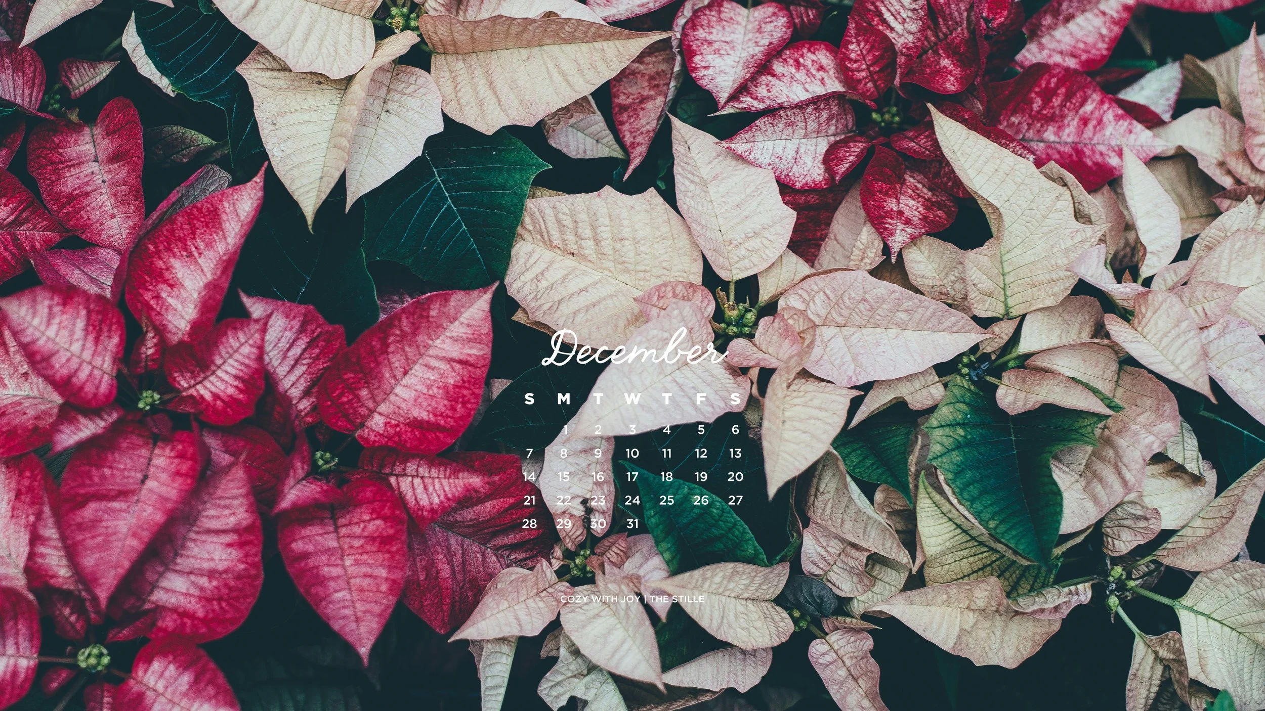 December 2025_Wallpapers_Desktop_7.jpg