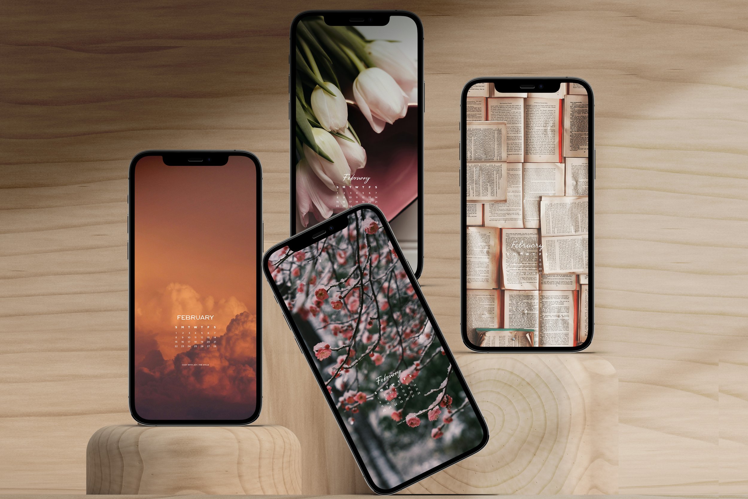 February 2026_Mobile Wallpapers_4.jpg