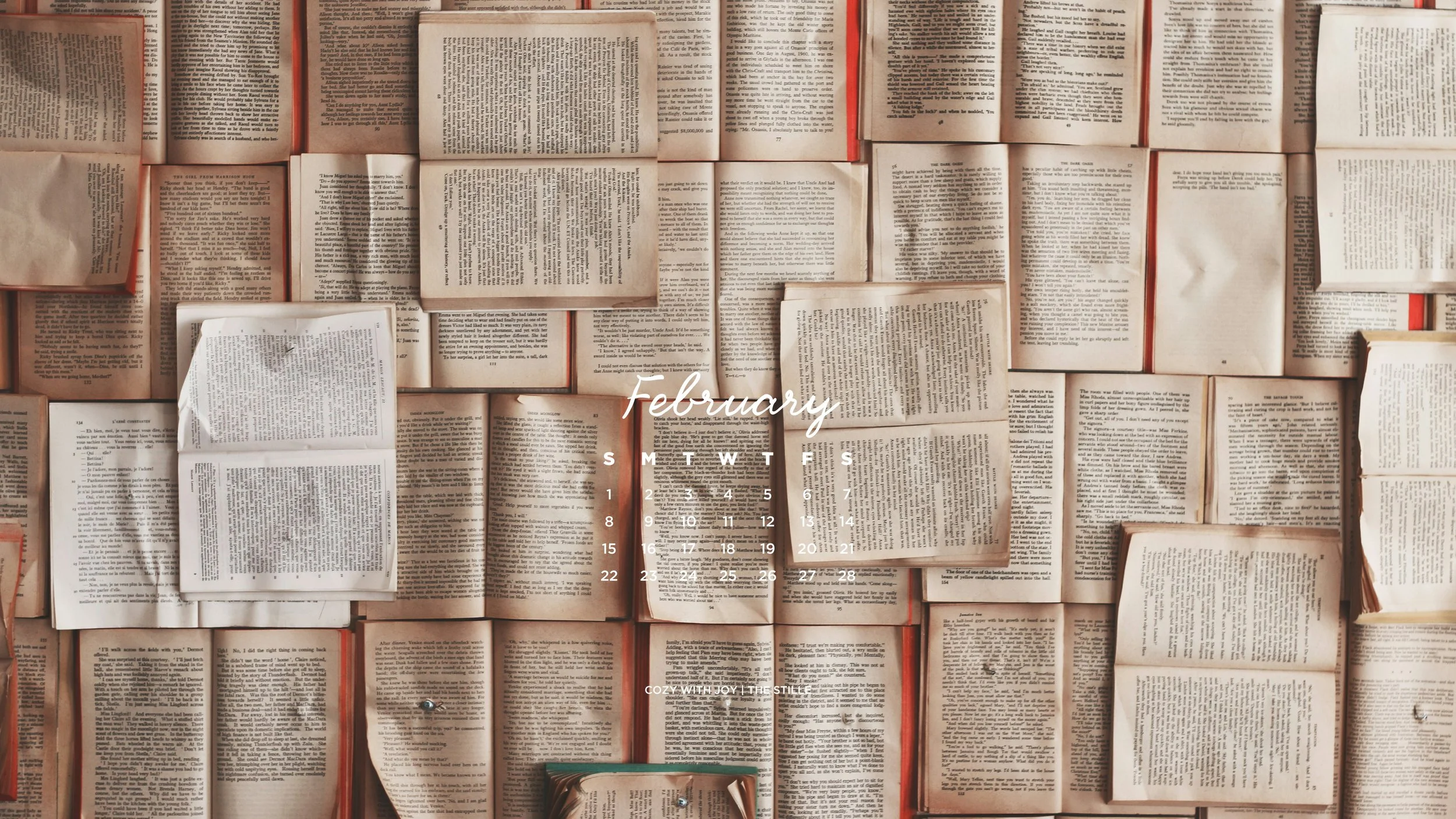 February 2026_Wallpapers_Desktop_9.jpg