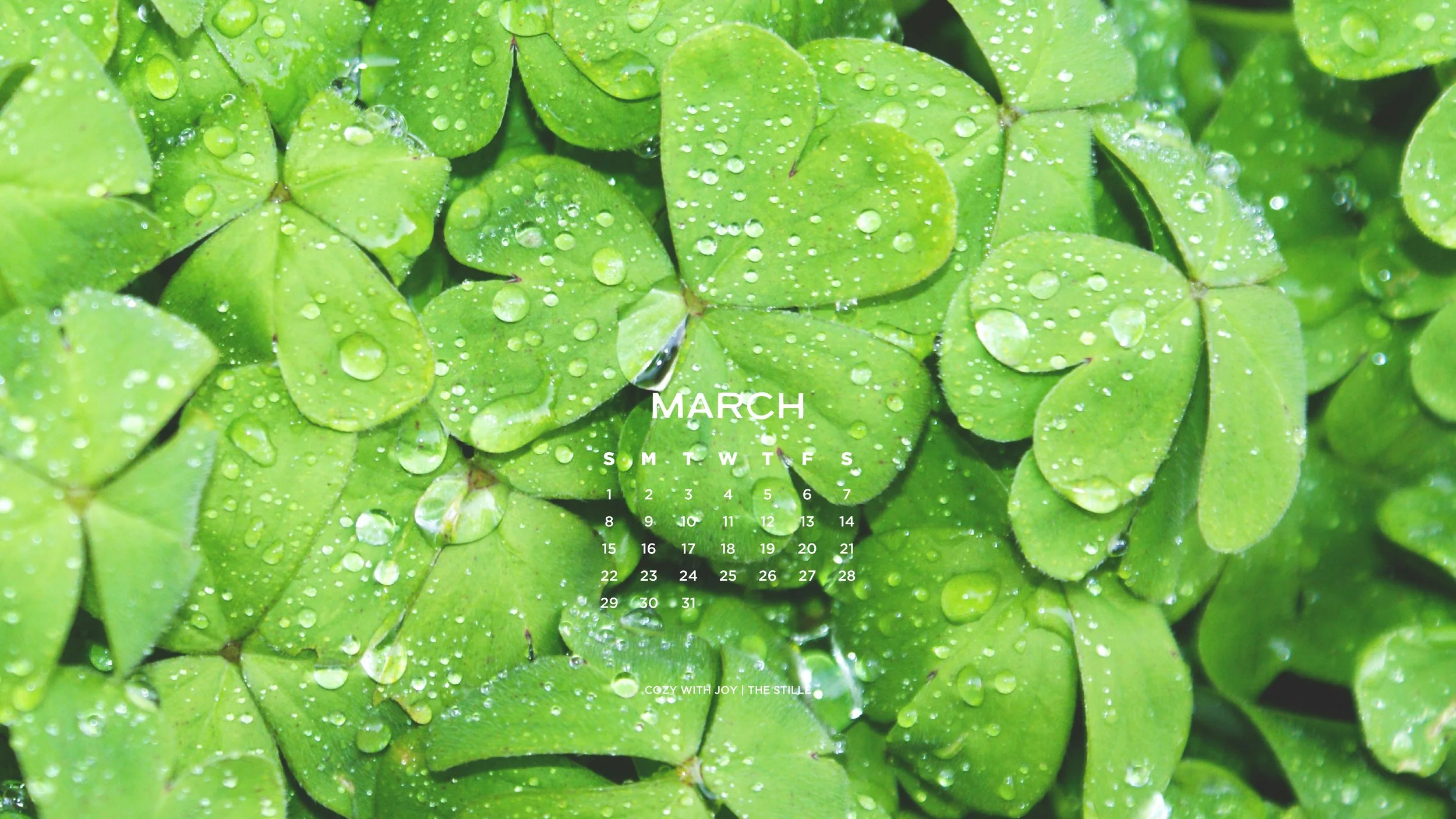 March 2026_Wallpapers_Desktop_10.jpg