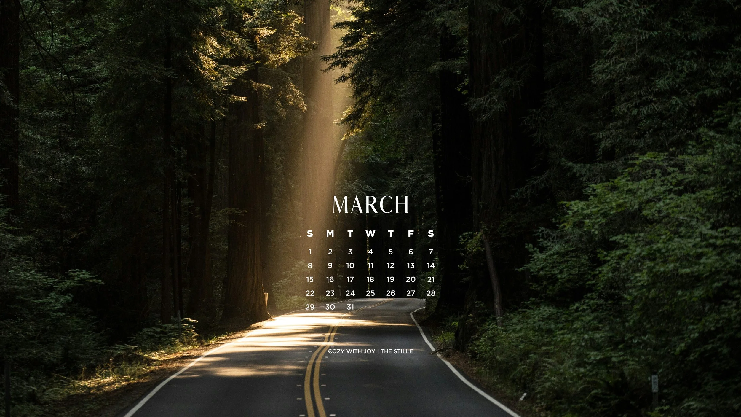 March 2026_Wallpapers_Desktop_9.jpg
