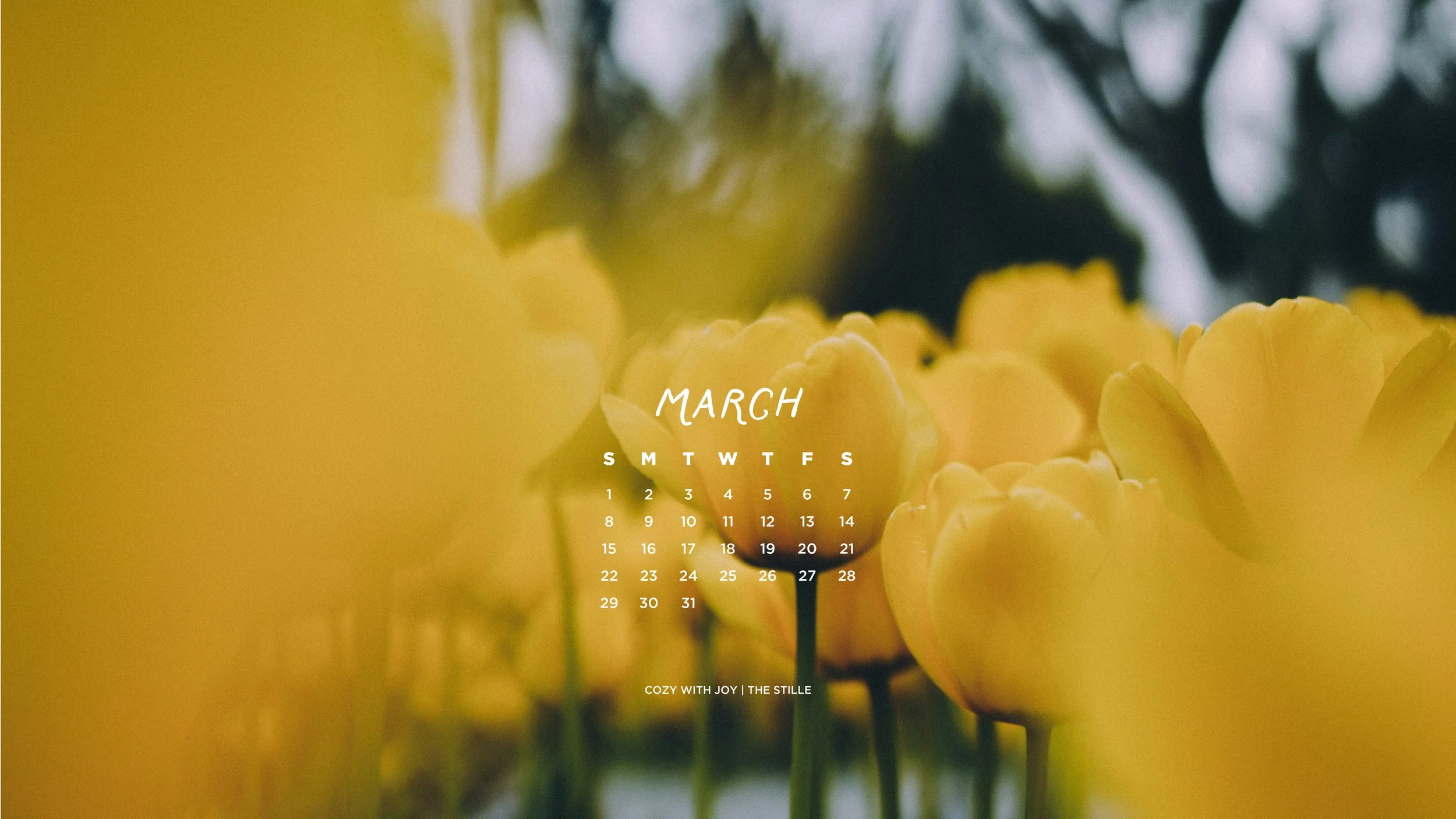 March 2026_Wallpapers_Desktop_7.jpg