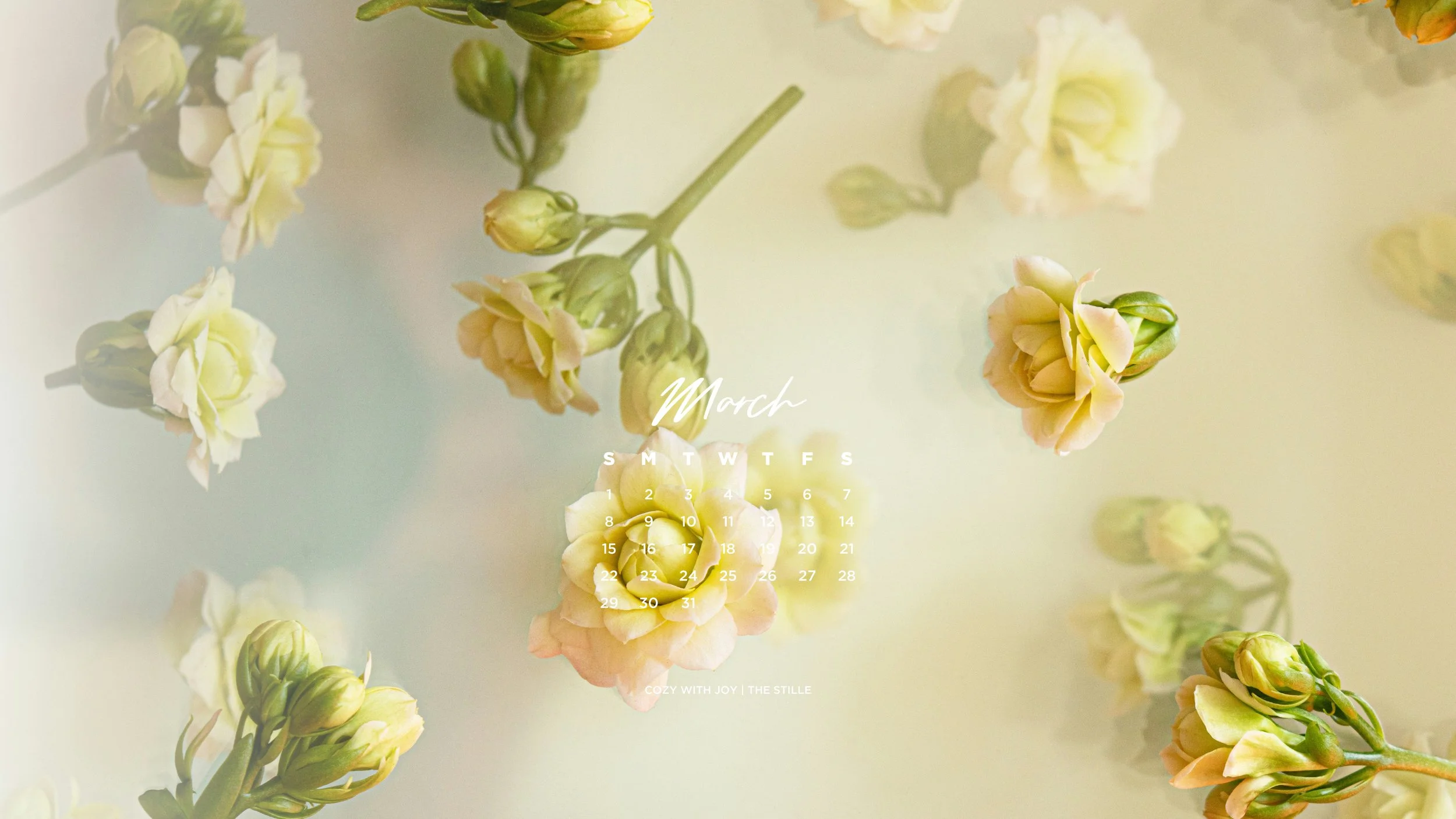 March 2026_Wallpapers_Desktop_6.jpg