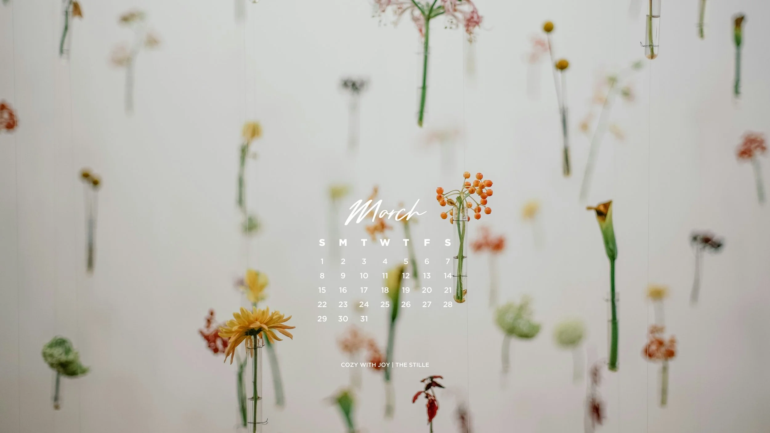 March 2026_Wallpapers_Desktop_3.jpg