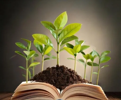 Learning Design Studio Portfolio