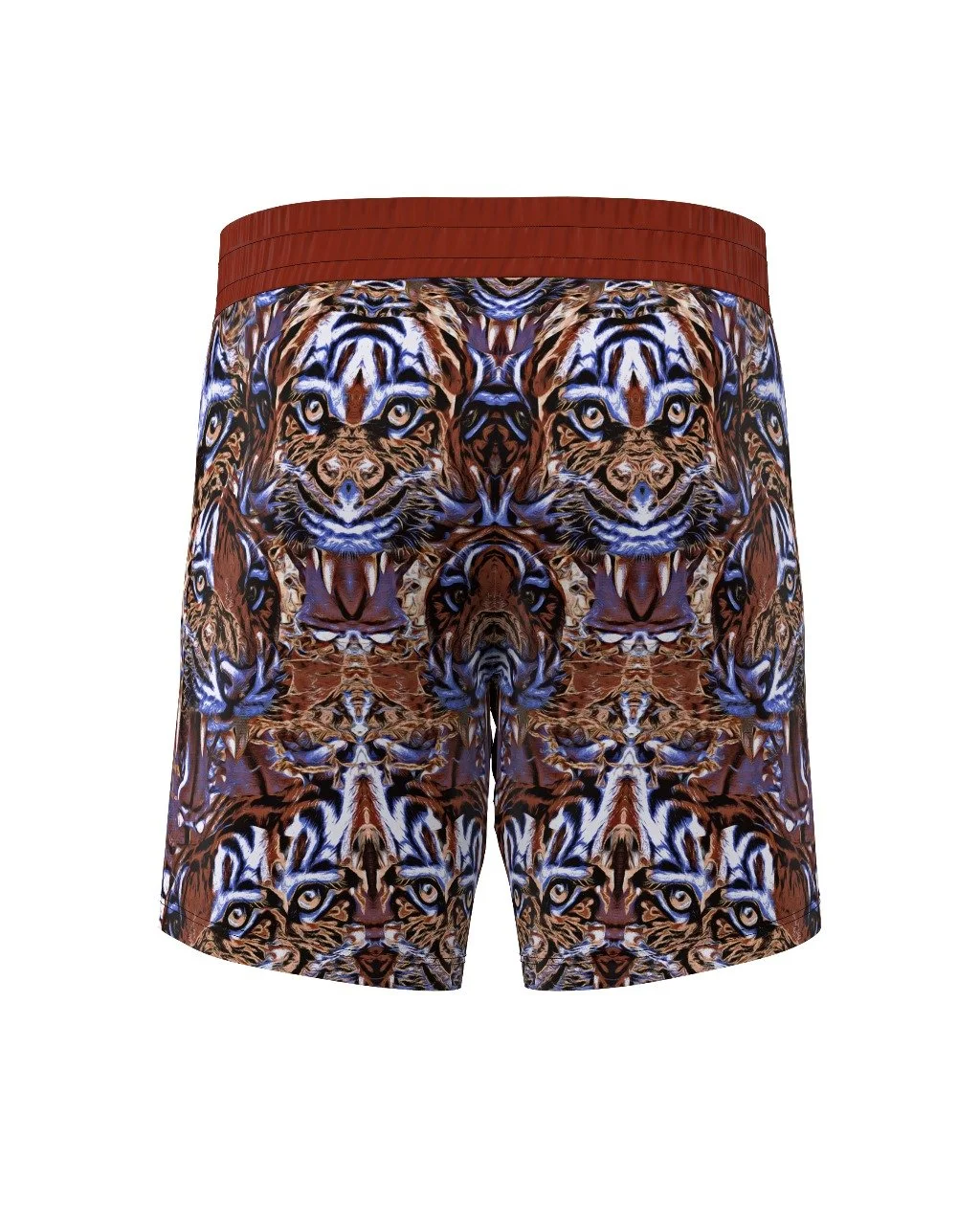 tenacoious back.jpeg