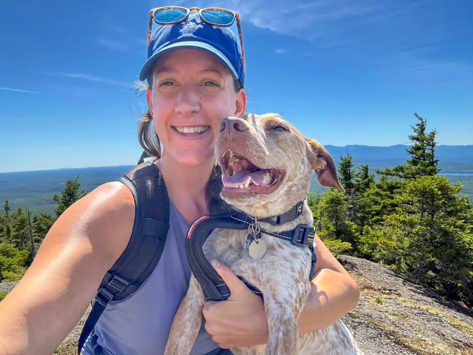 A woman holding a dog on top of a mountain.