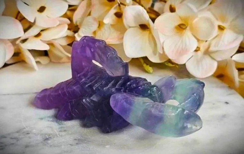 Fluorite Scorpion - neutralizes negative energy 2.jpg