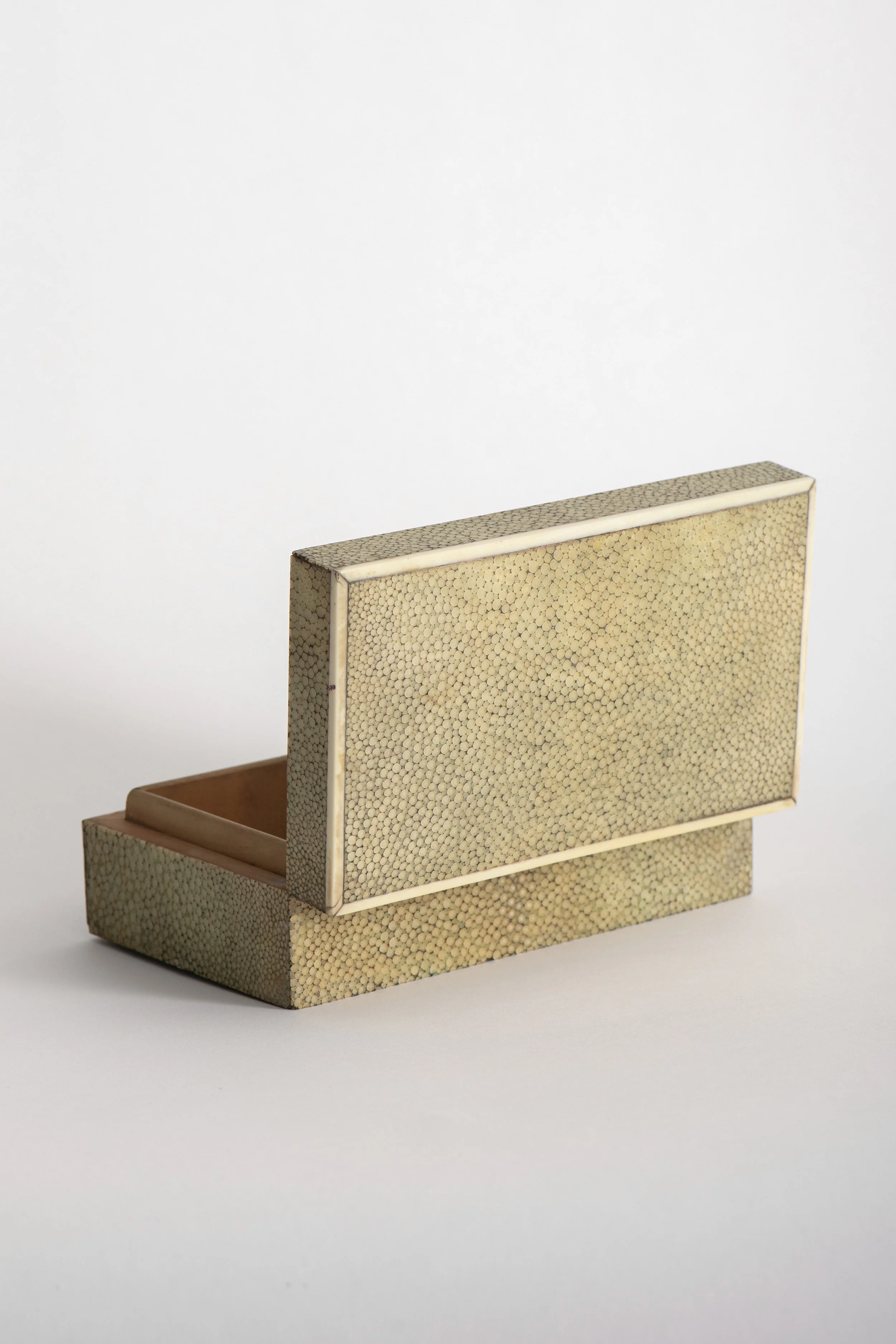 Shagreen Bone Box