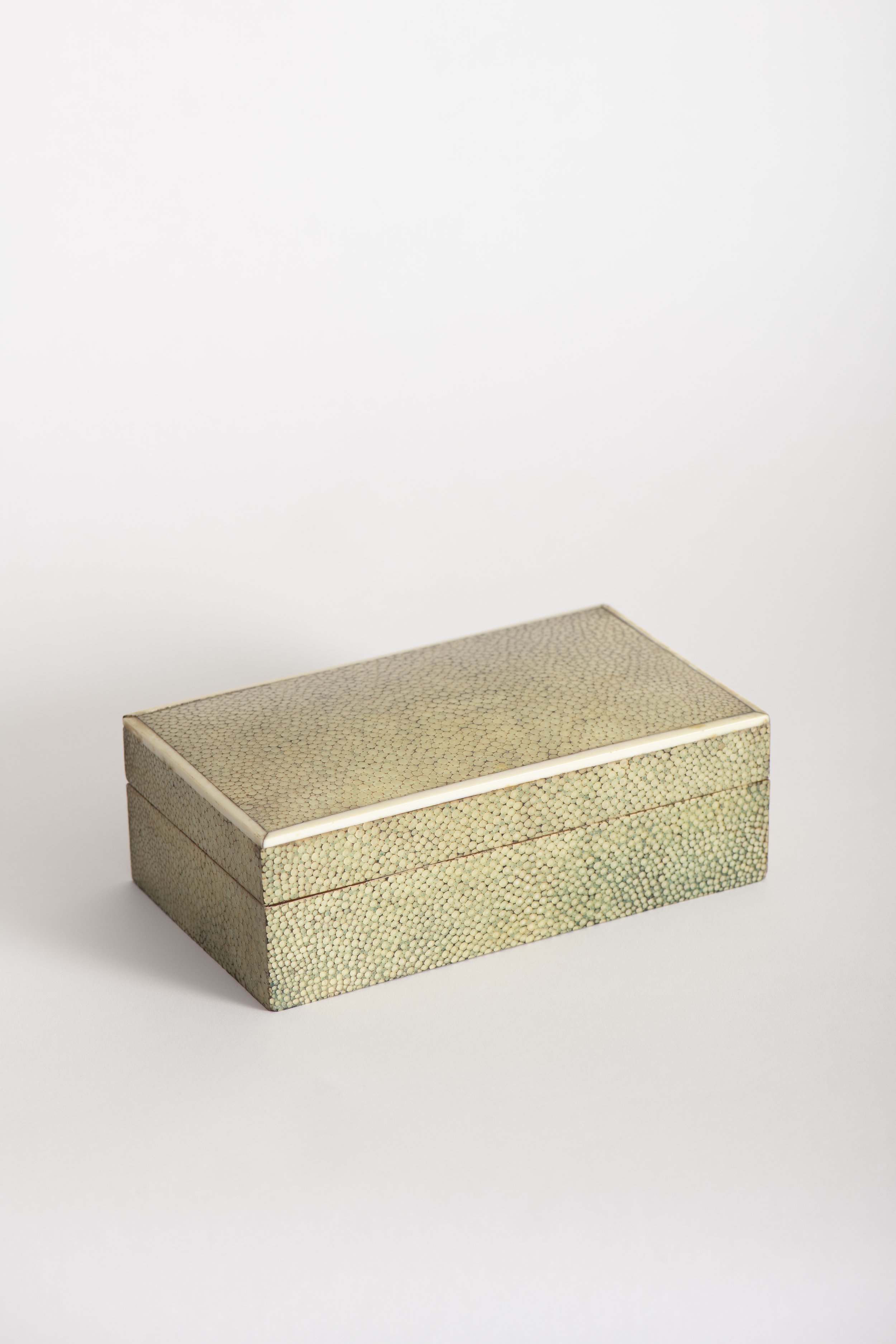 French Shagreen and Bone Box1