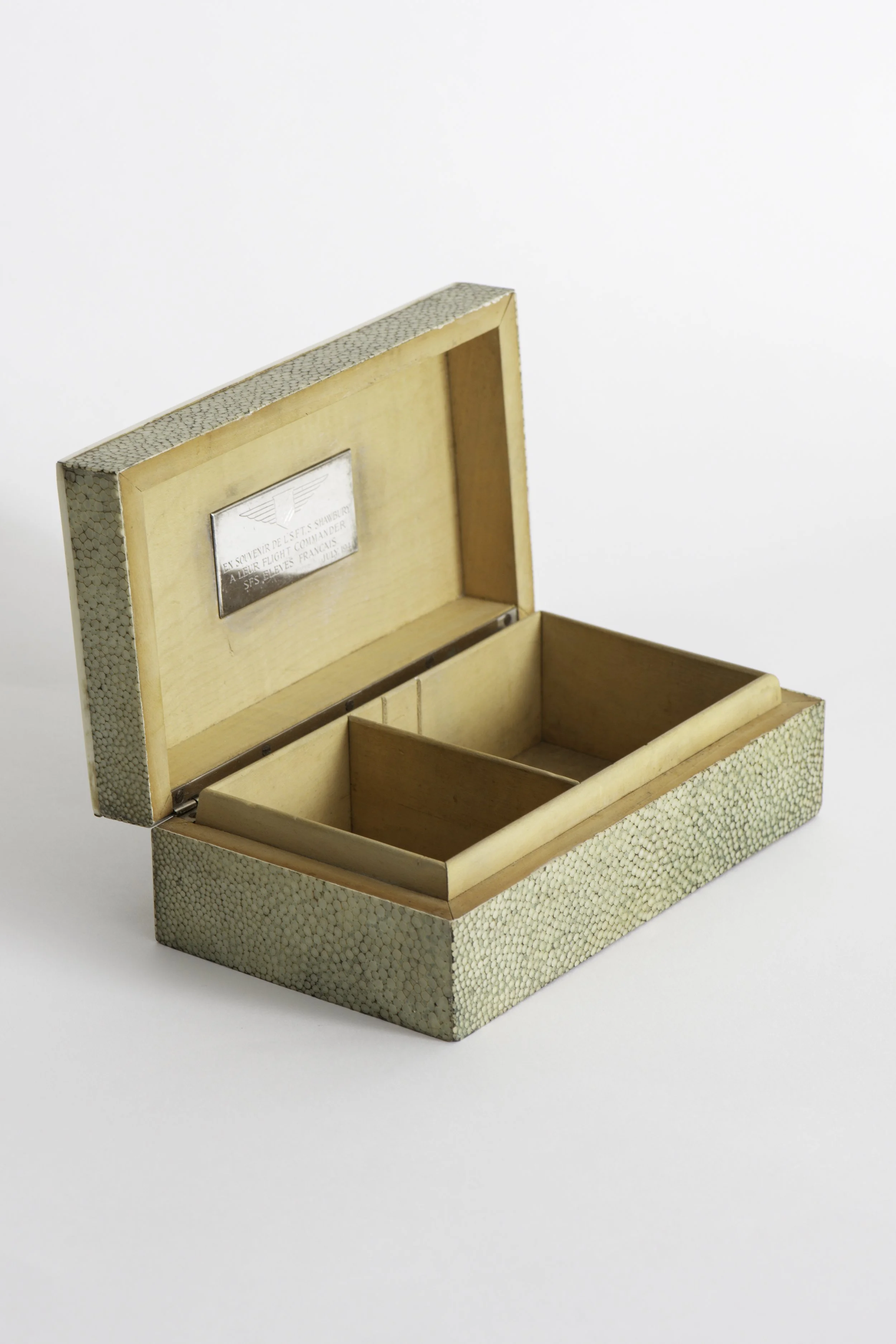 French Shagreen and Bone Box2