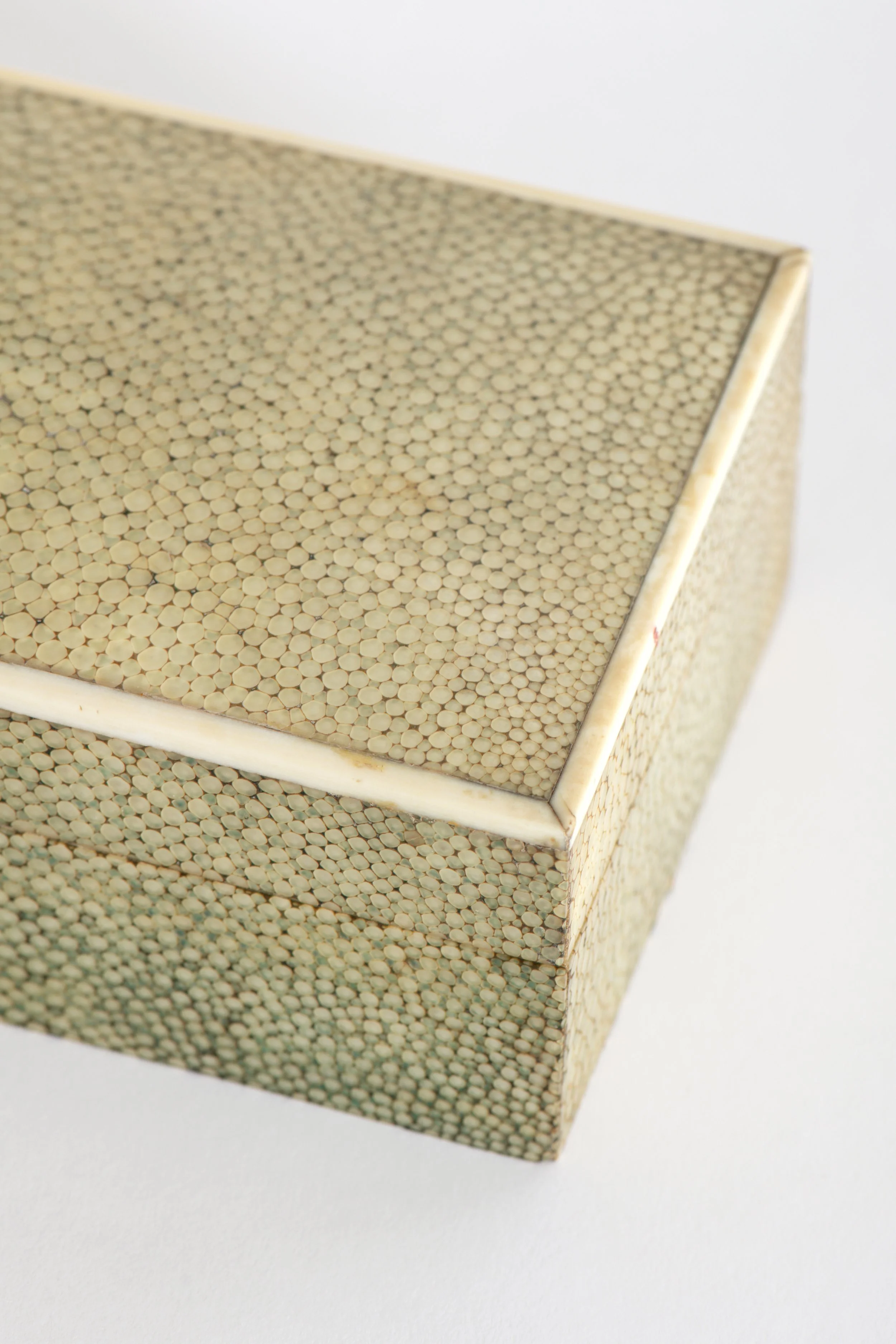 French Shagreen and Bone Box4