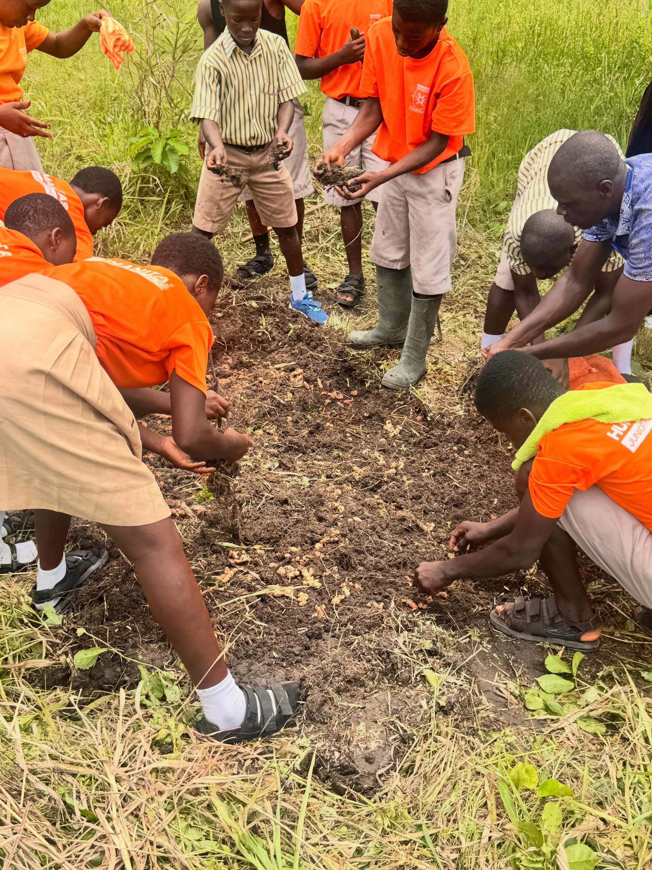 🌱 Our farm in Ghana is starting to take shape 🇬🇭✨

Over the past month, we&rsquo;ve been working alongside an incredible permaculture team to design and implement sustainable permaculture systems and ginger farming across the land. 🌾🫚

At the sa