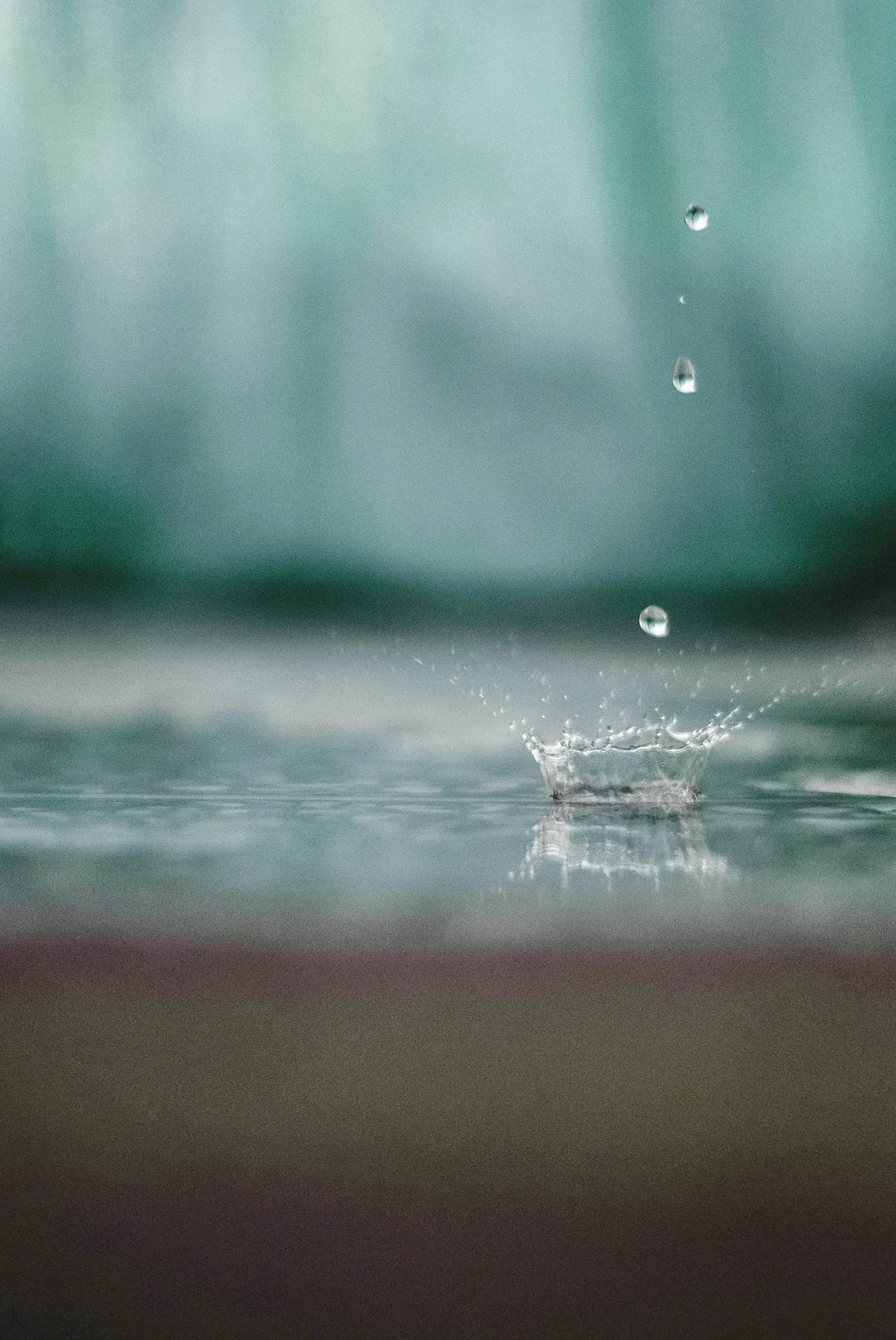 Foundations of Mindfulness - An Eight-Week Meditation Course