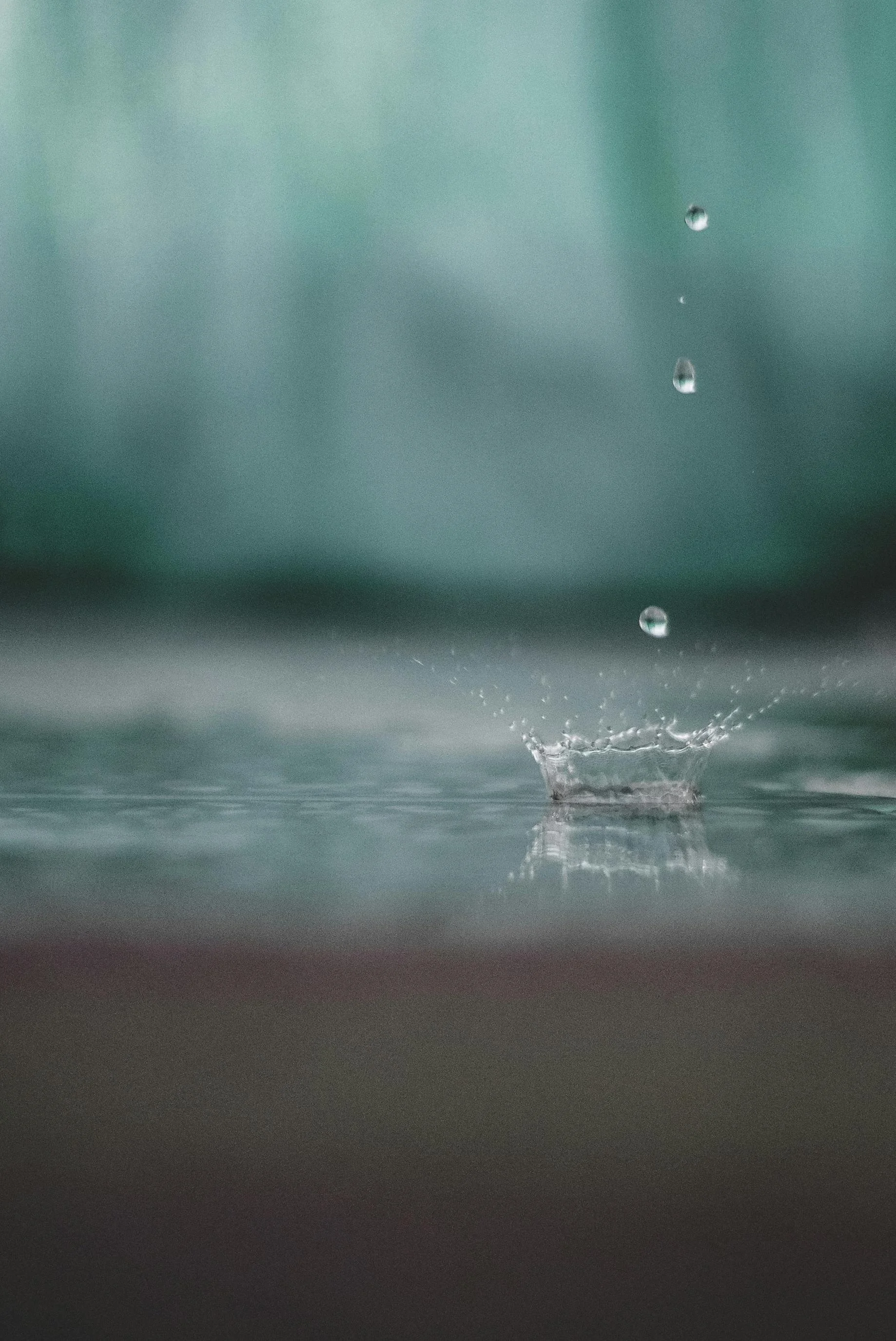 Foundations of Mindfulness - An Eight-Week Course in Cultivating Insight and Embodied Wisdom