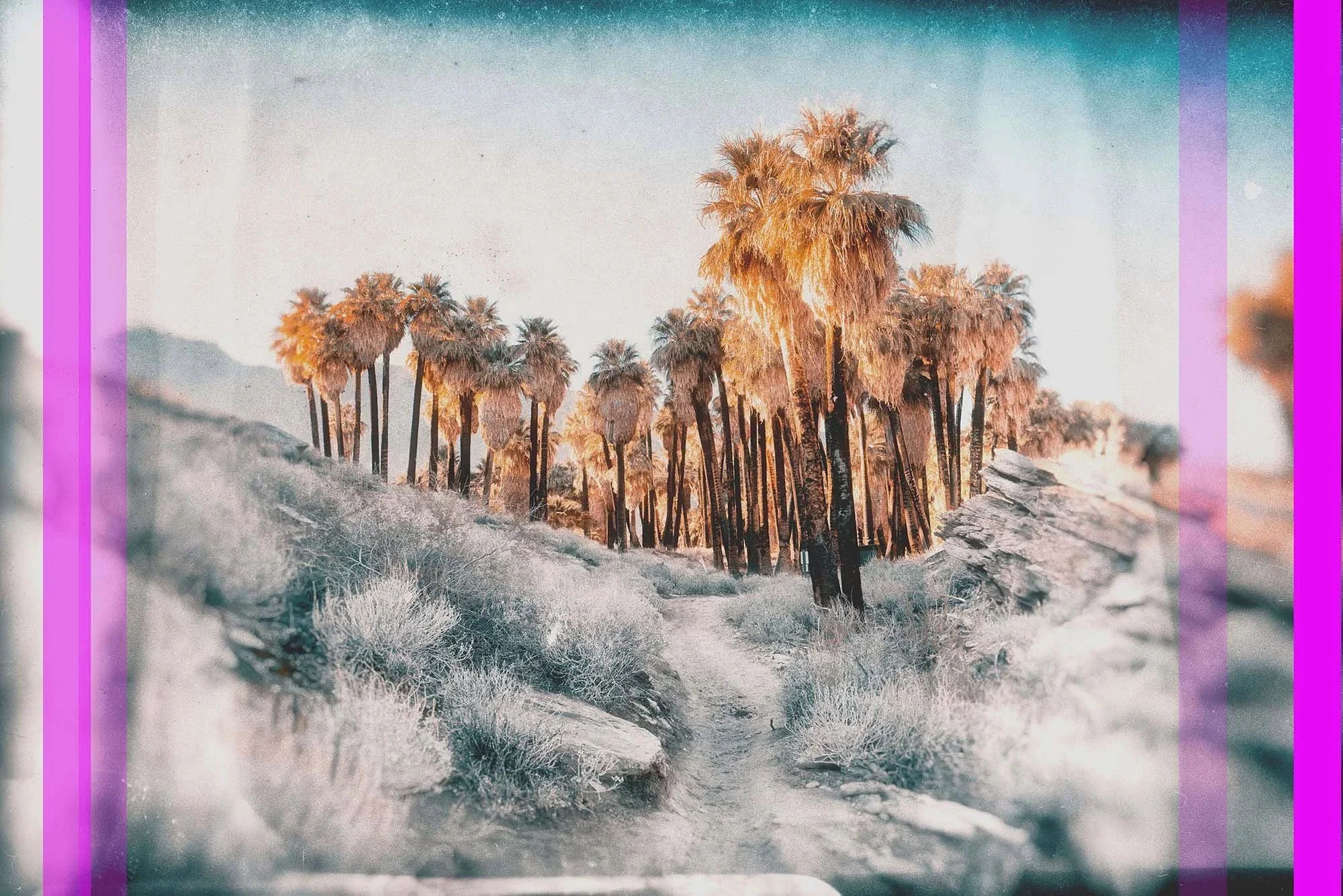 Dreamy Indian Canyon