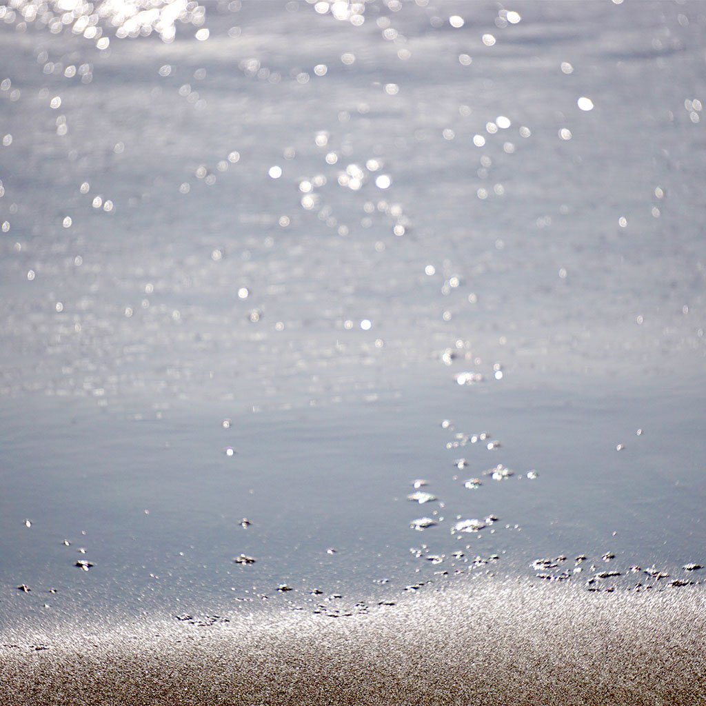 Santa Monica Beach C.U. 
