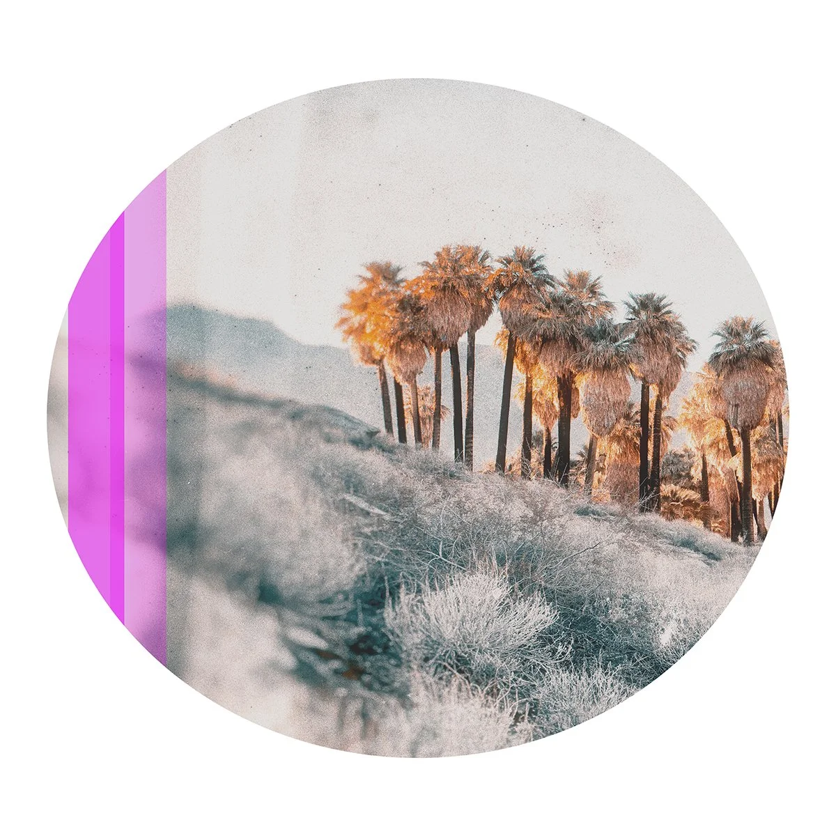 Indian Canyon Circular 