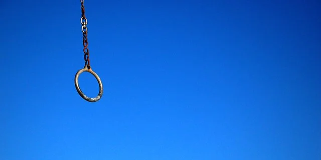 Flying Rings No 310