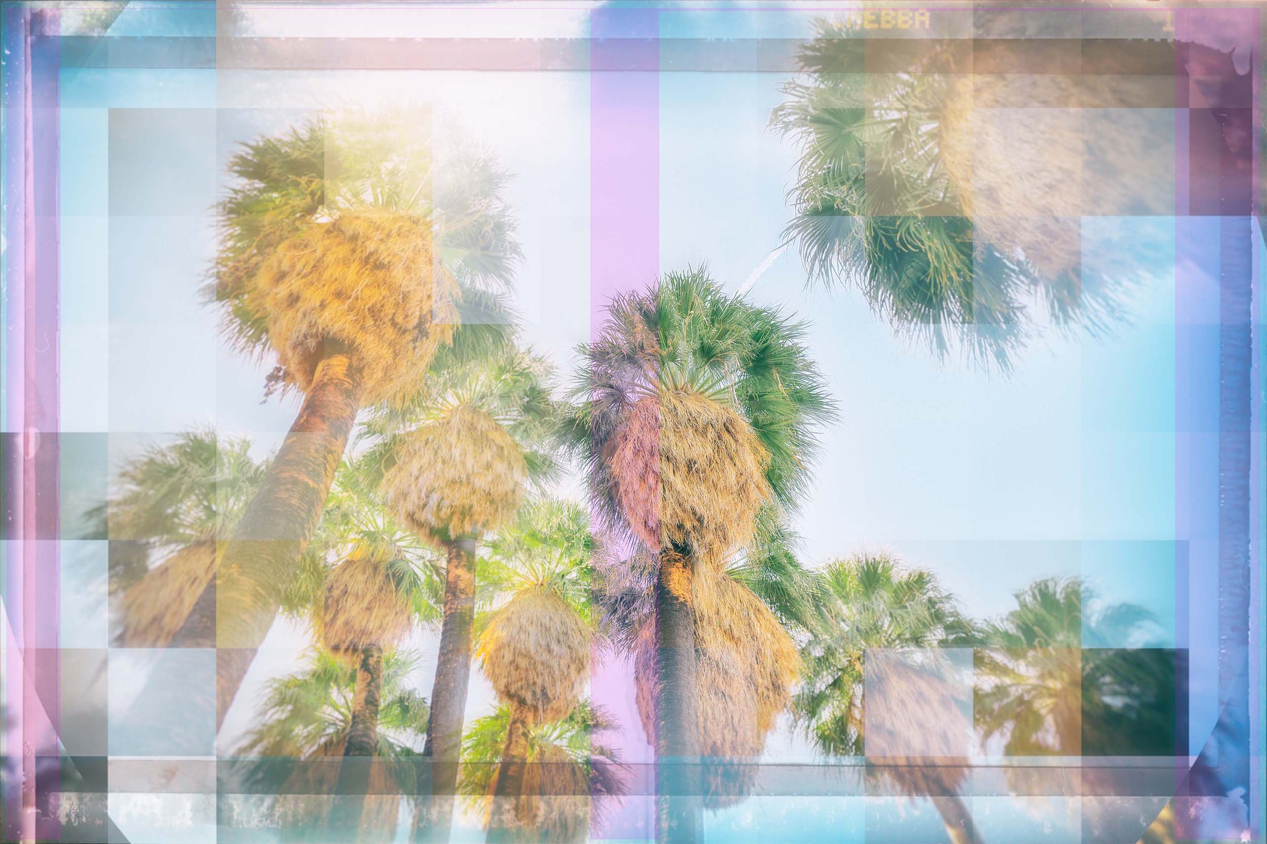 IC#9_KALEIDISCOPE-PALM-TREE-photography-Fran-Lamothe copy.jpg