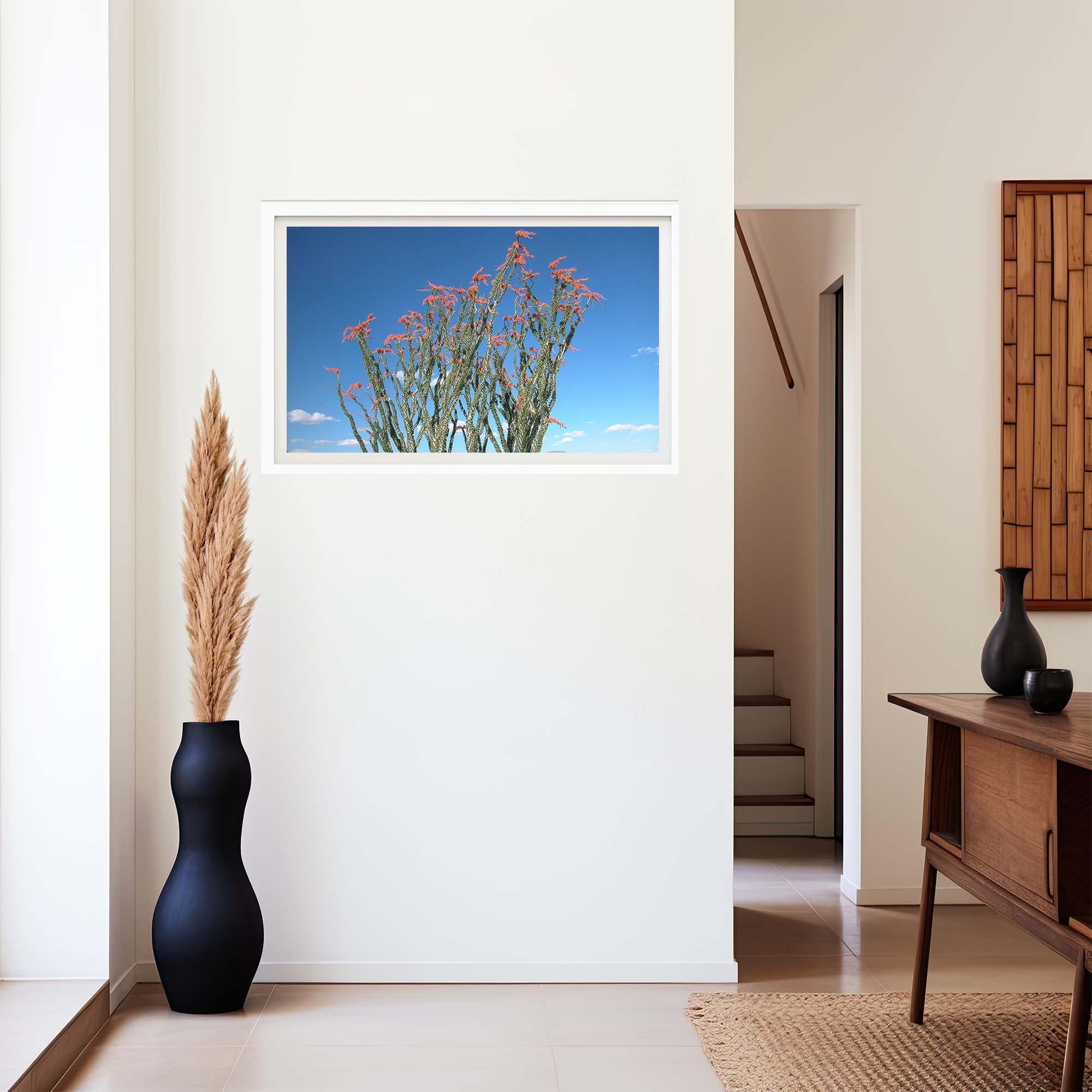 OCOTILLO.jpg