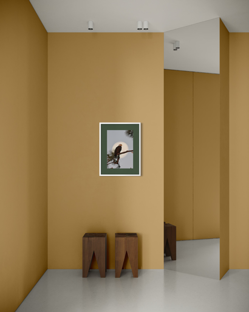 World famous American bald eagle with the moon in the background (Copy)