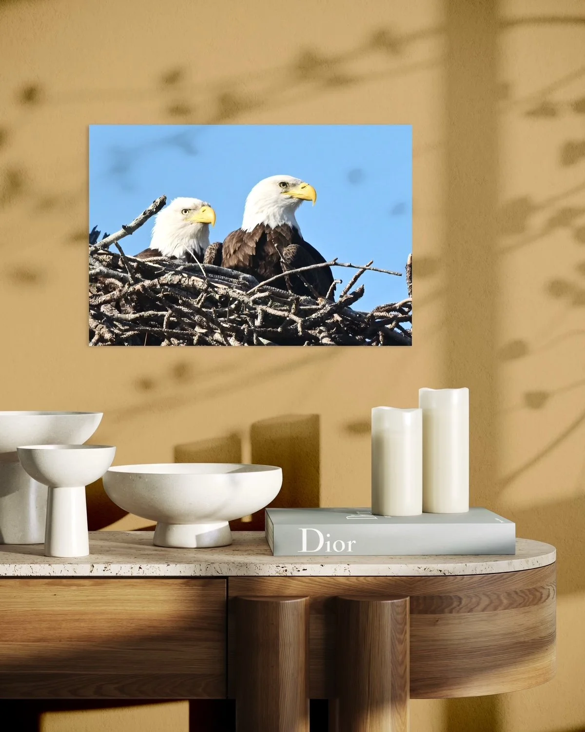 the majesty of two eagles at their nest