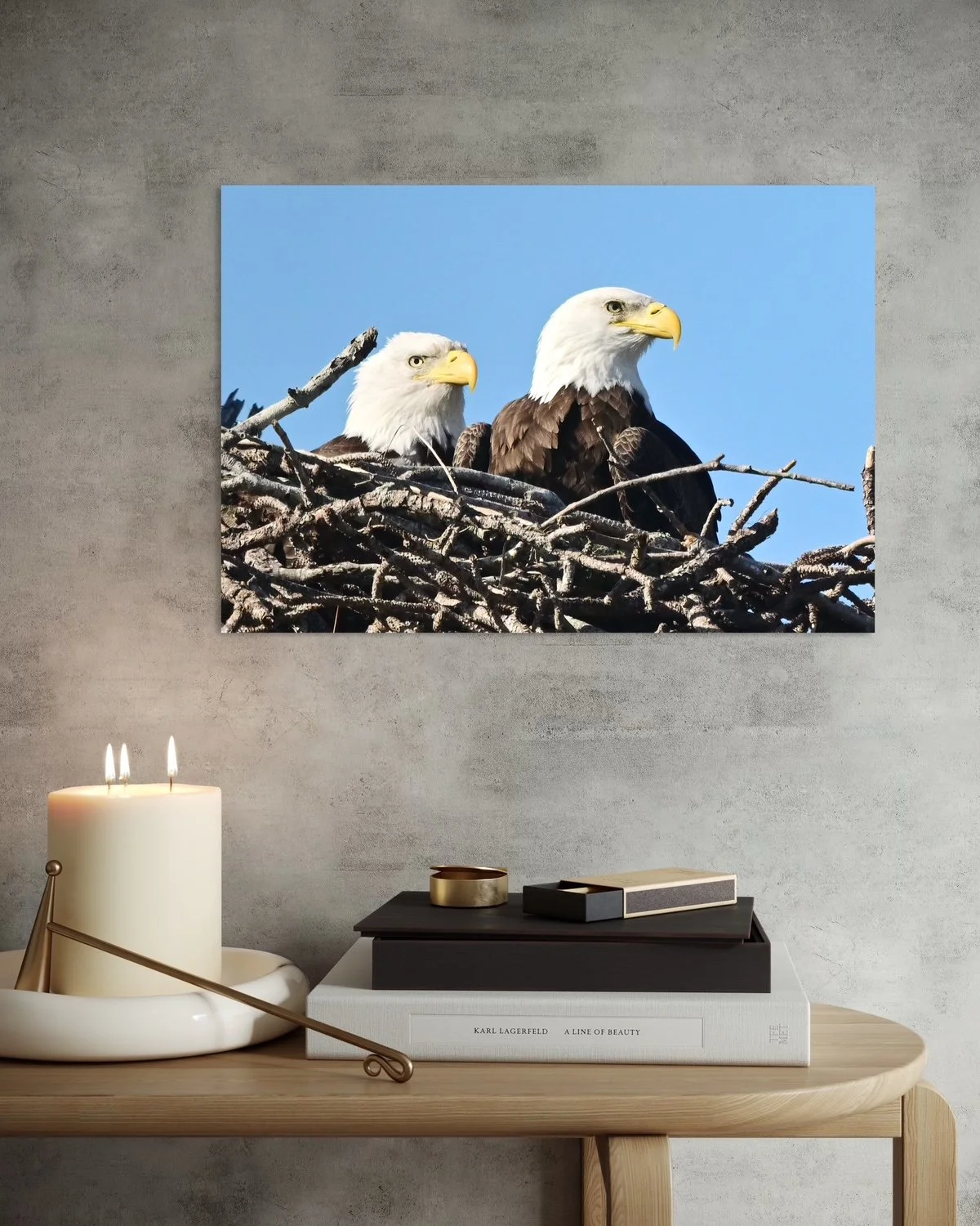 the majesty of two eagles at their nest