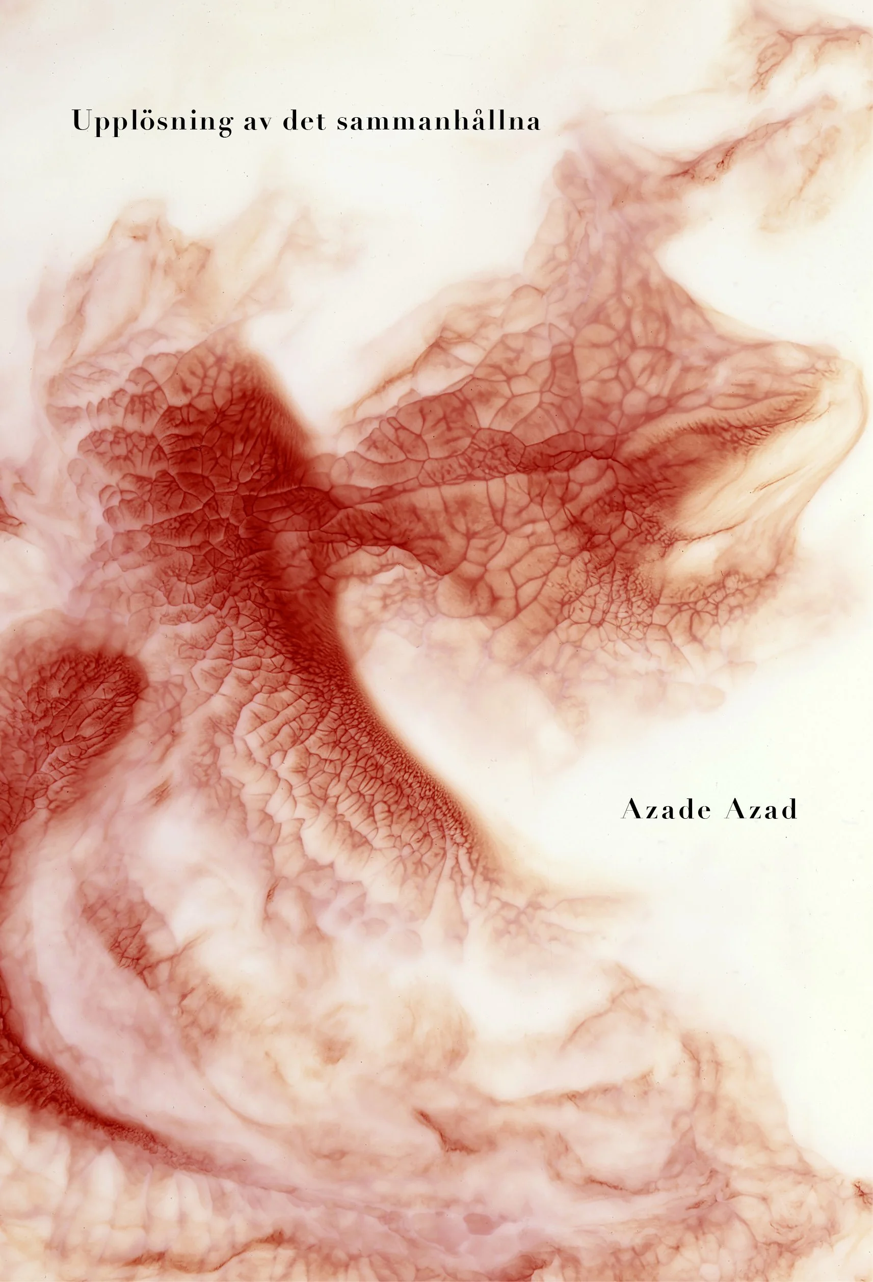 Azade Azad - Upplösning av det sammanhållna