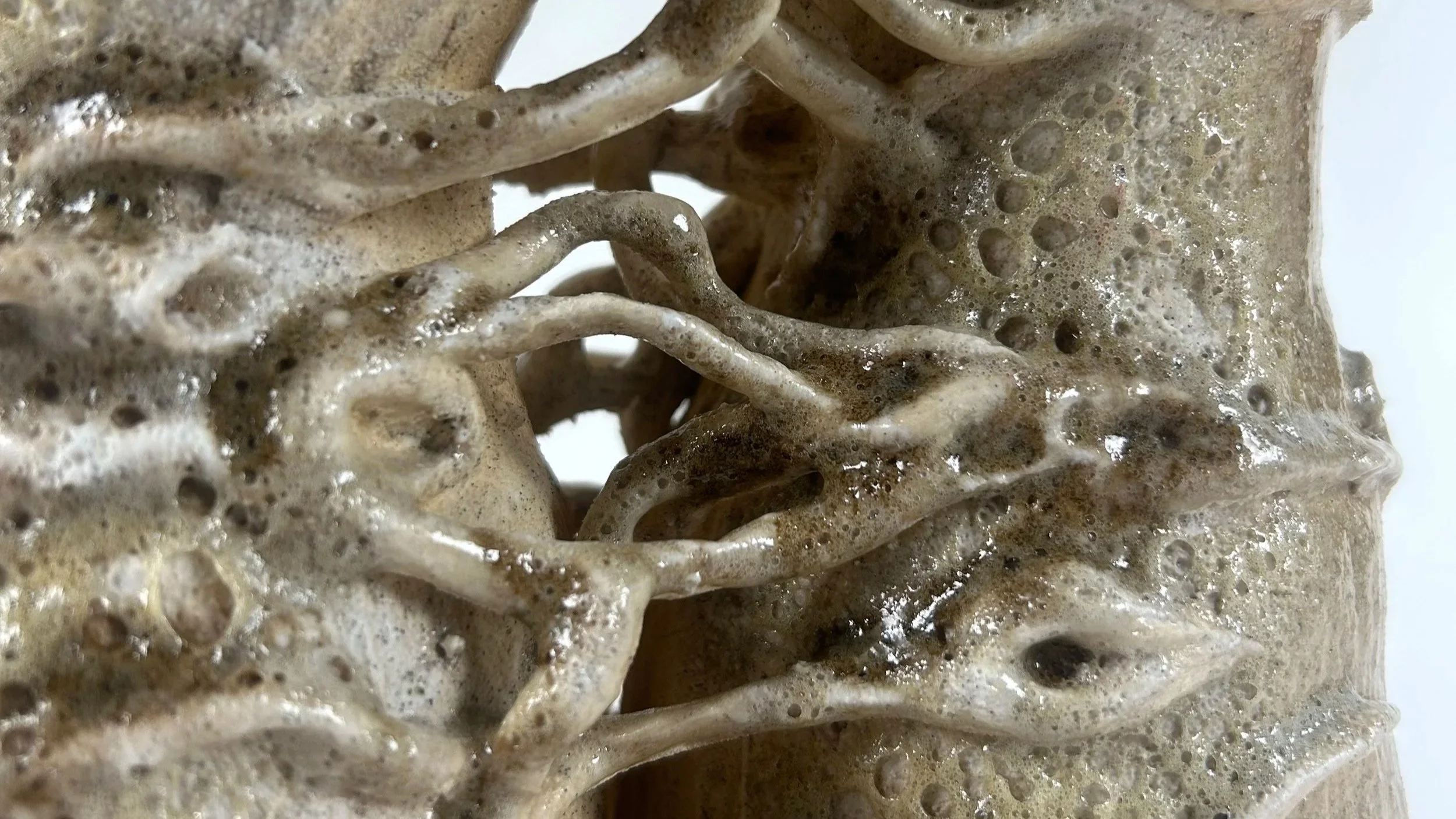 'Conjoined Twins' - detail