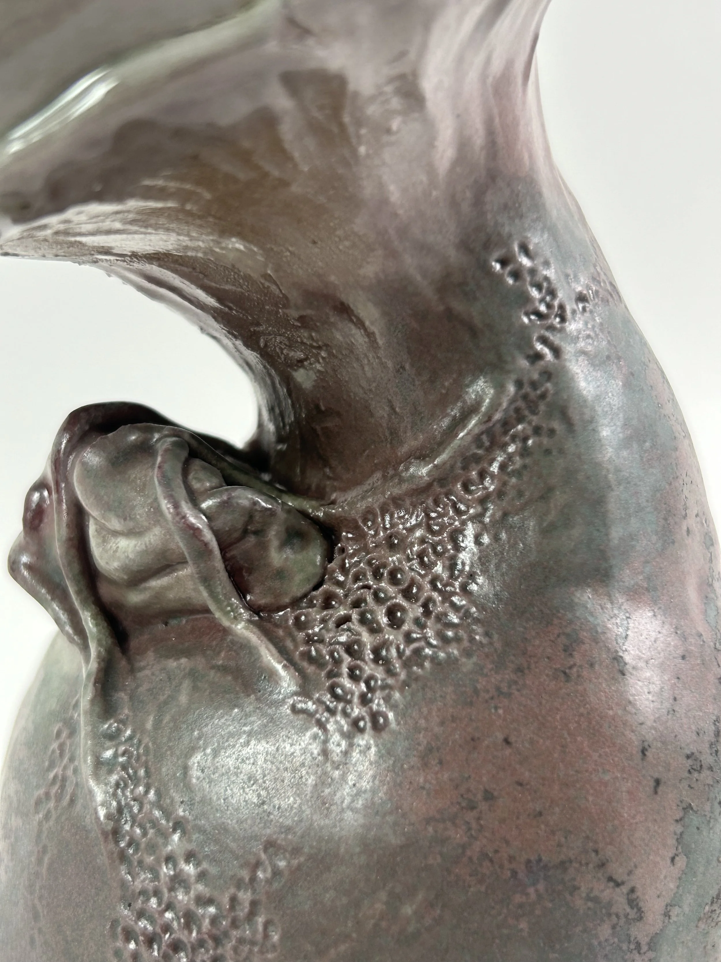 'Erotic Morel' - detail