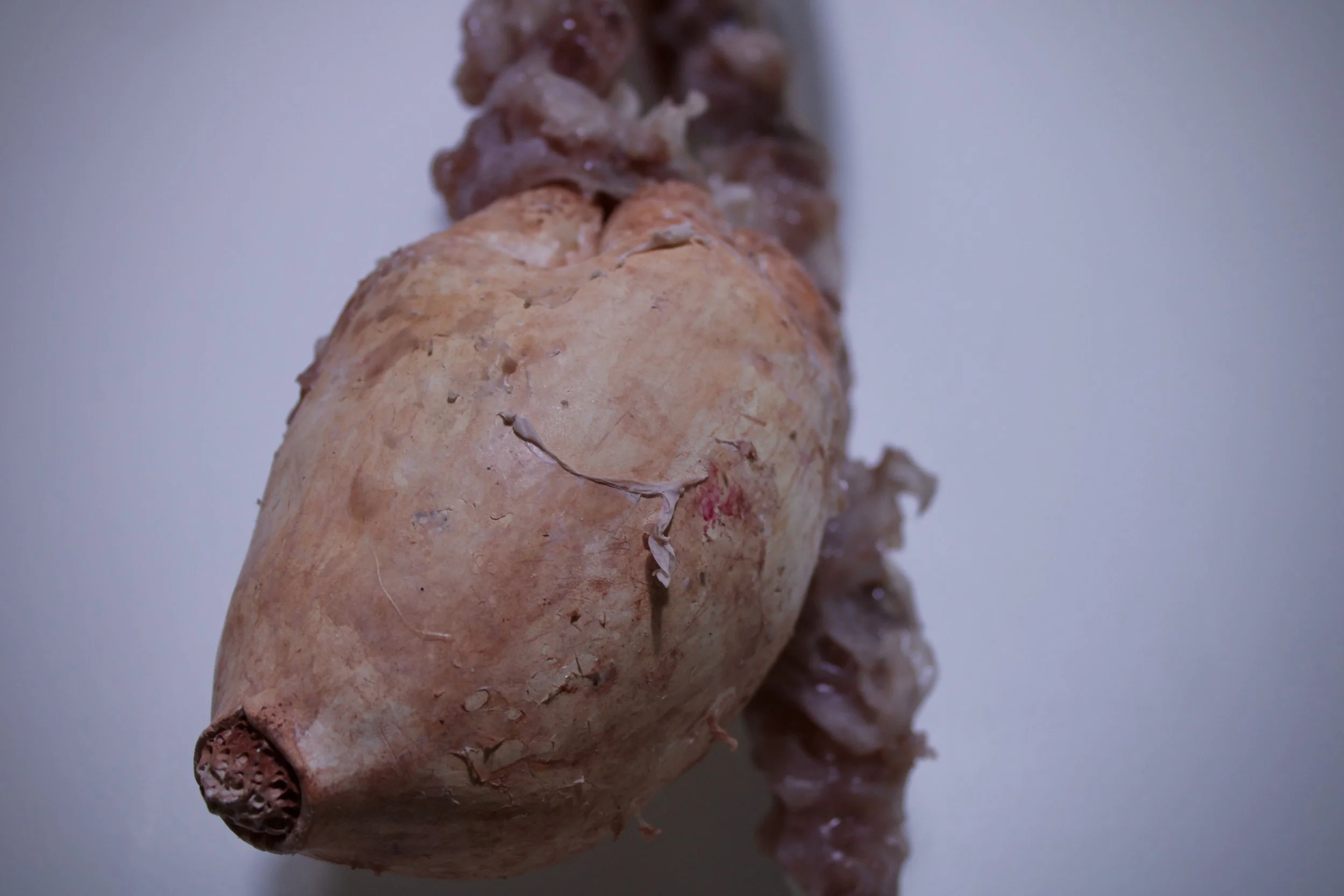 "doin' my laundry" detail