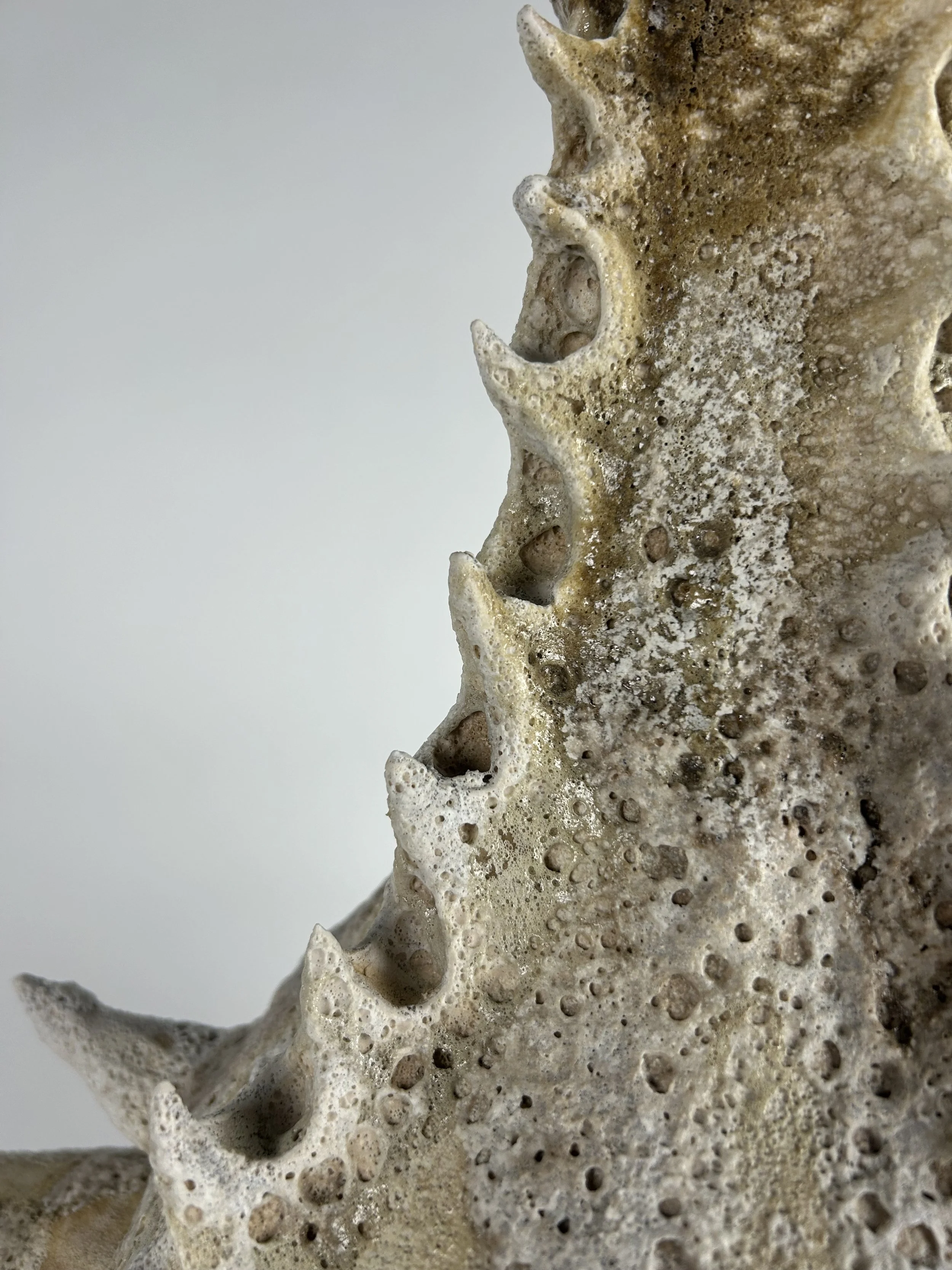 'A Creature's Defense' - detail