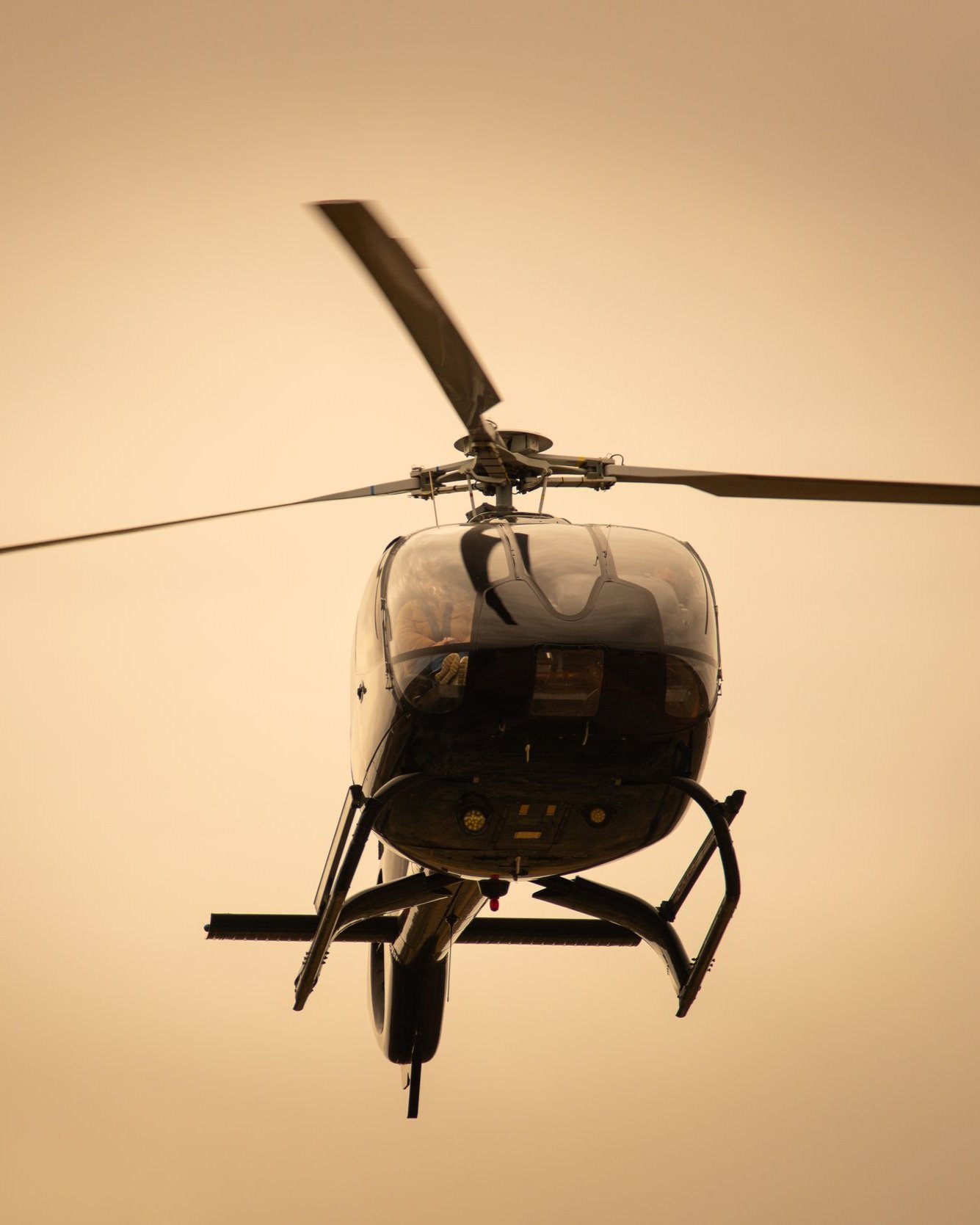 ELEVATE_CBP-7889.jpg