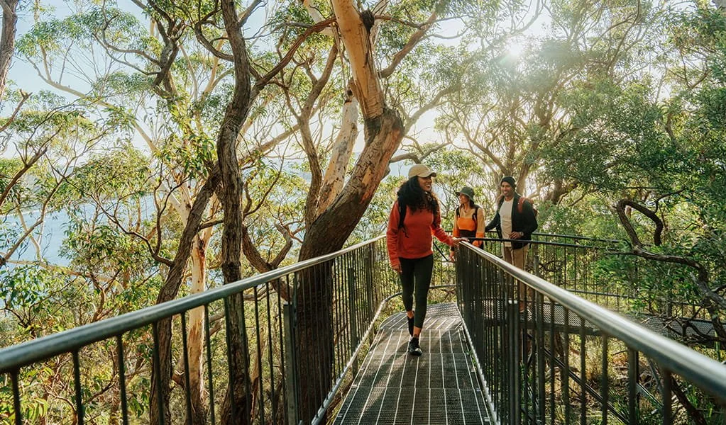 Tomaree Trails.jpg