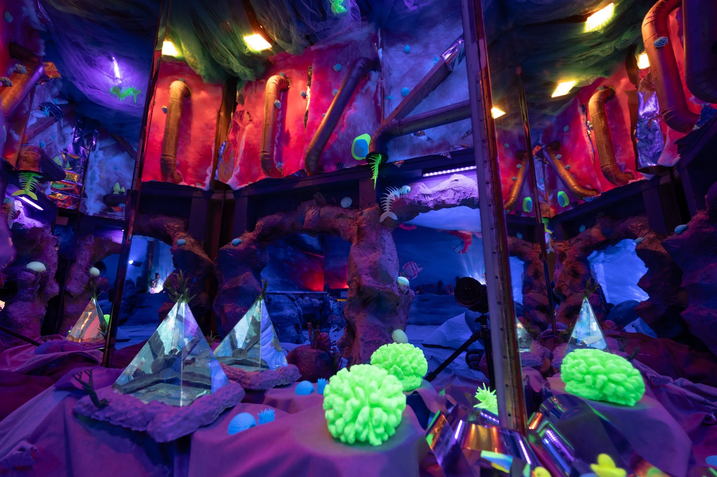 Chromatic_Roots_Ocean_Rebecca_Lipps_00 (5).jpg