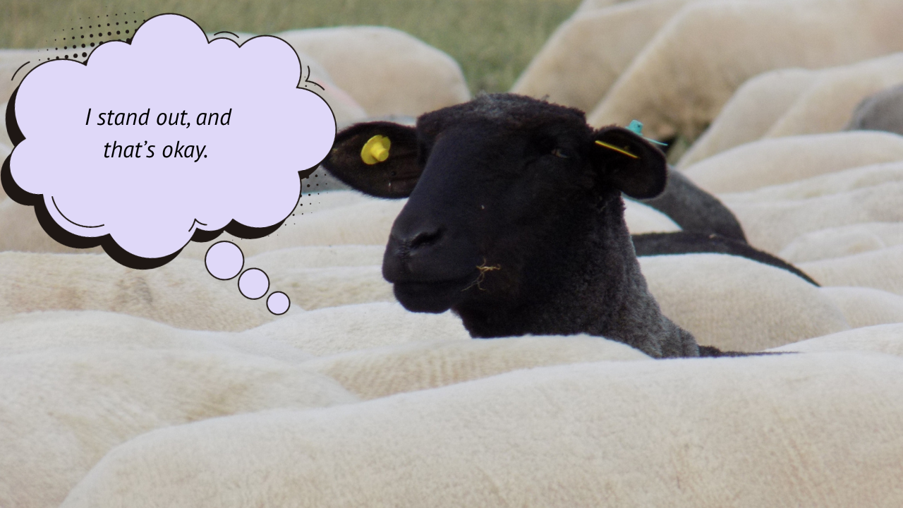 image of a black sheep among white sheep with a speech bubble that says, "I stand out, and that's okay."