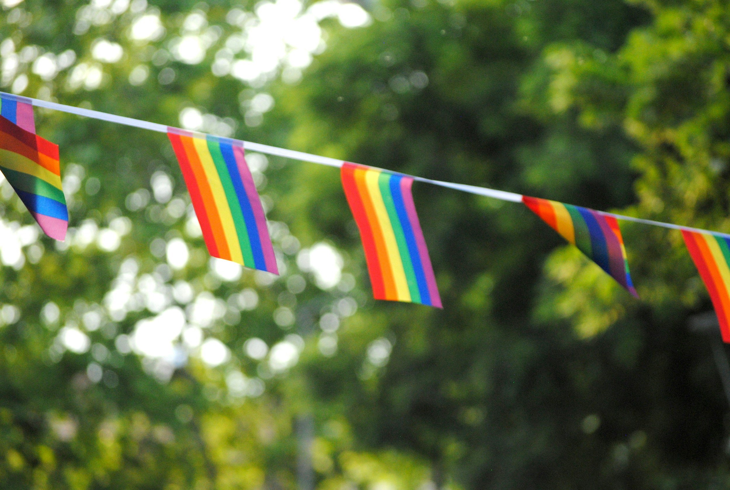 Photo of a string of pride flags against a blurred, leafy background.