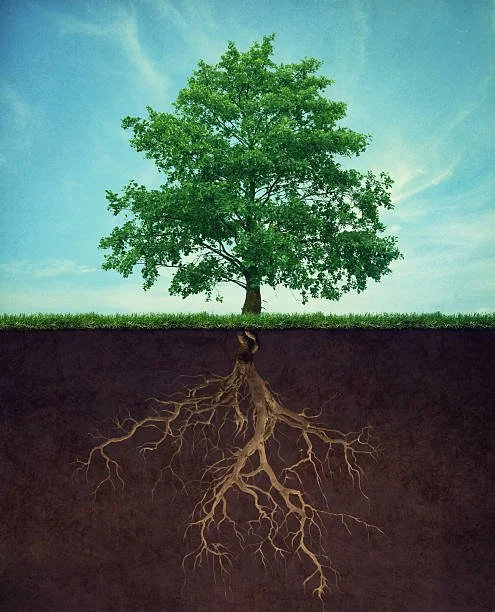 Deep Roots