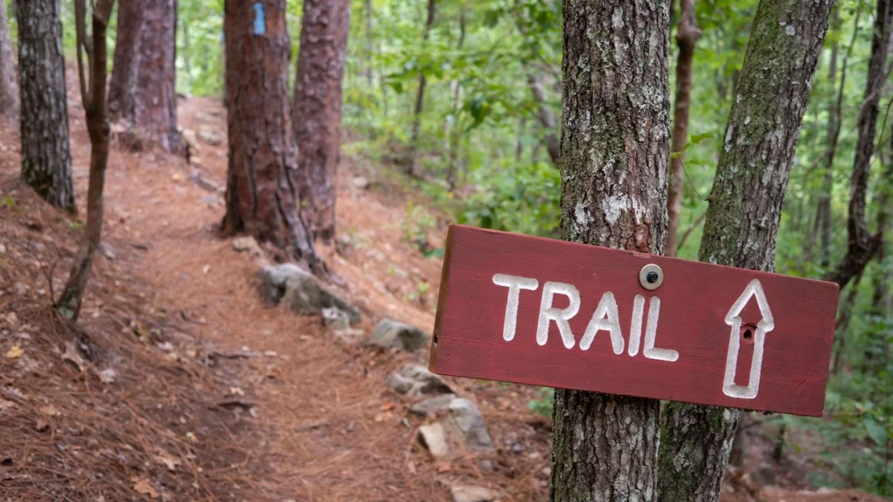 The Well-Marked Path